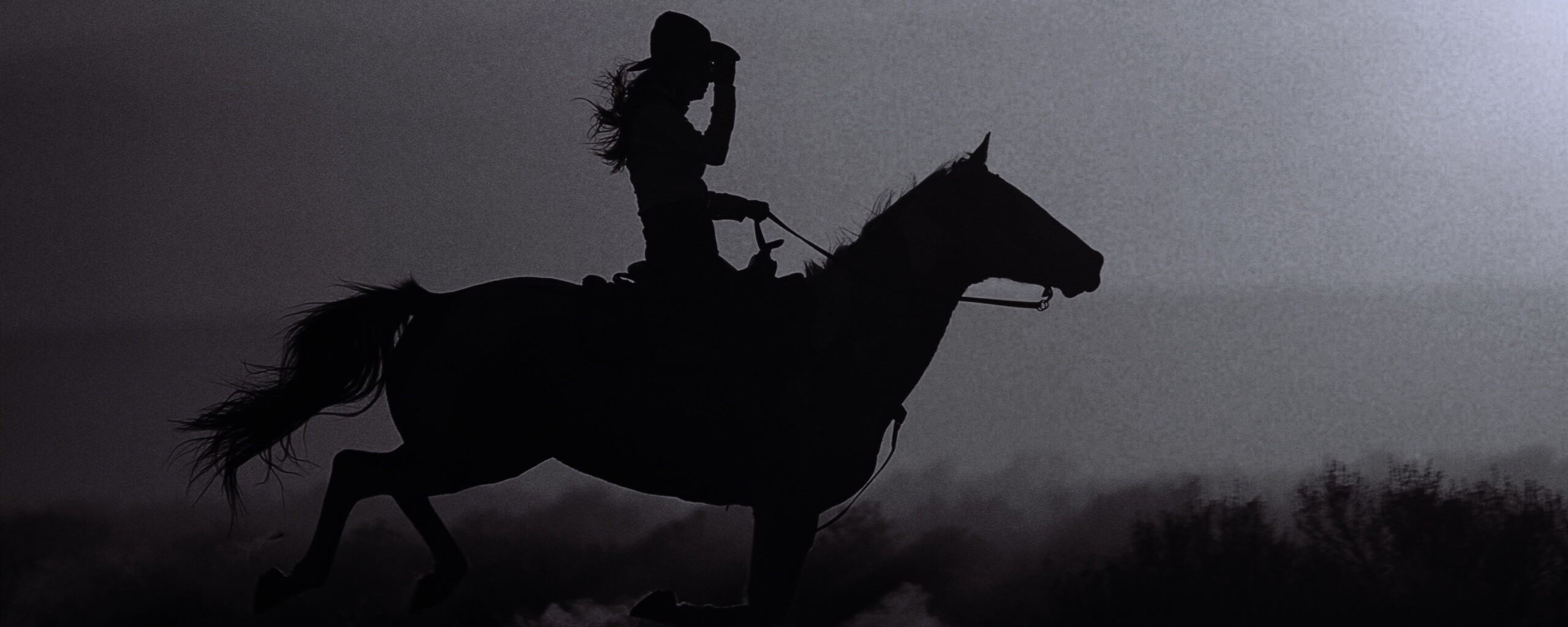 Наездница на закате обои