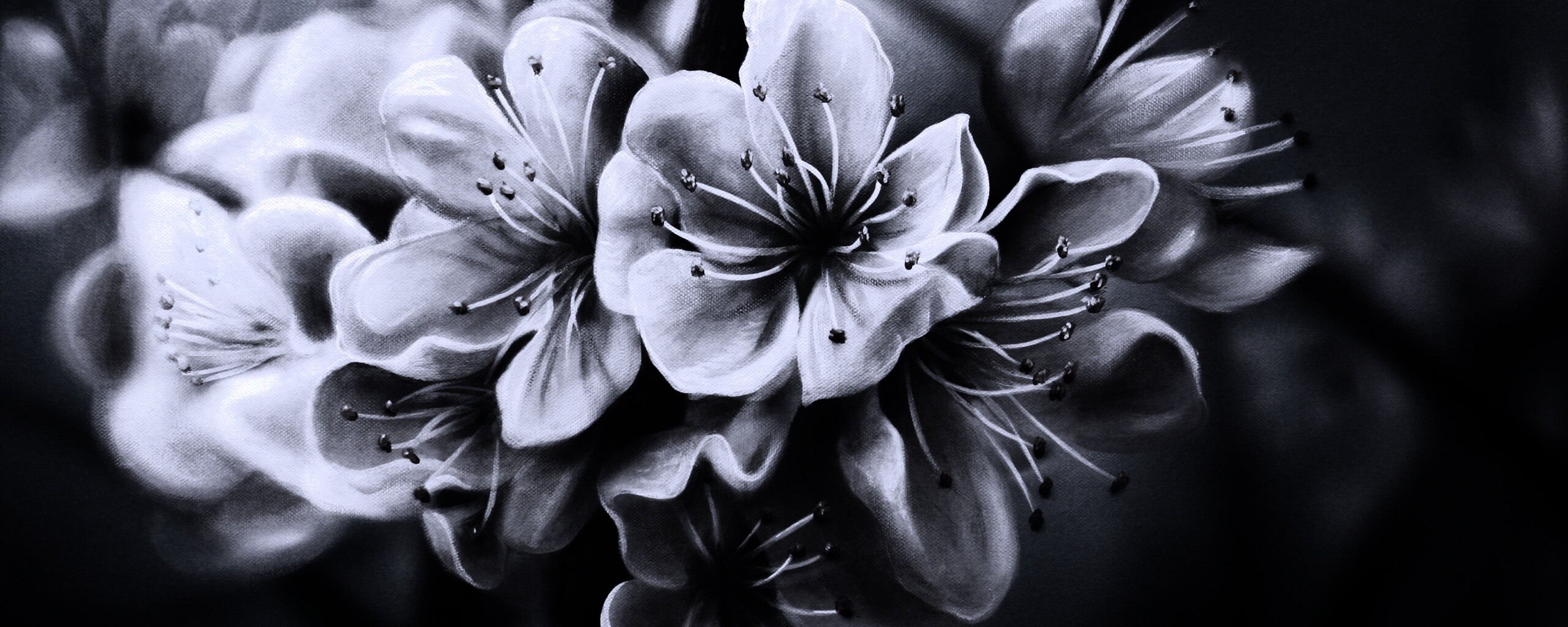 Яблоня в цвету картина обои