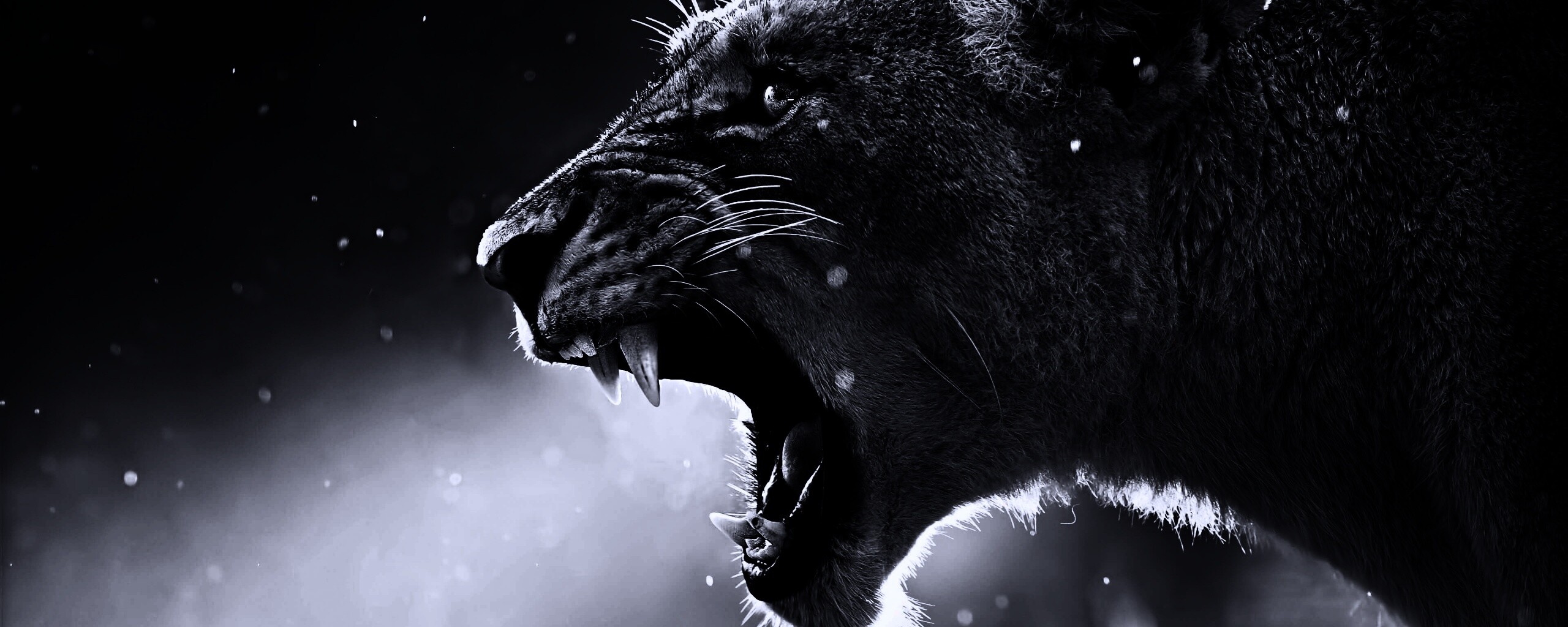 Грозный львиный рык обои