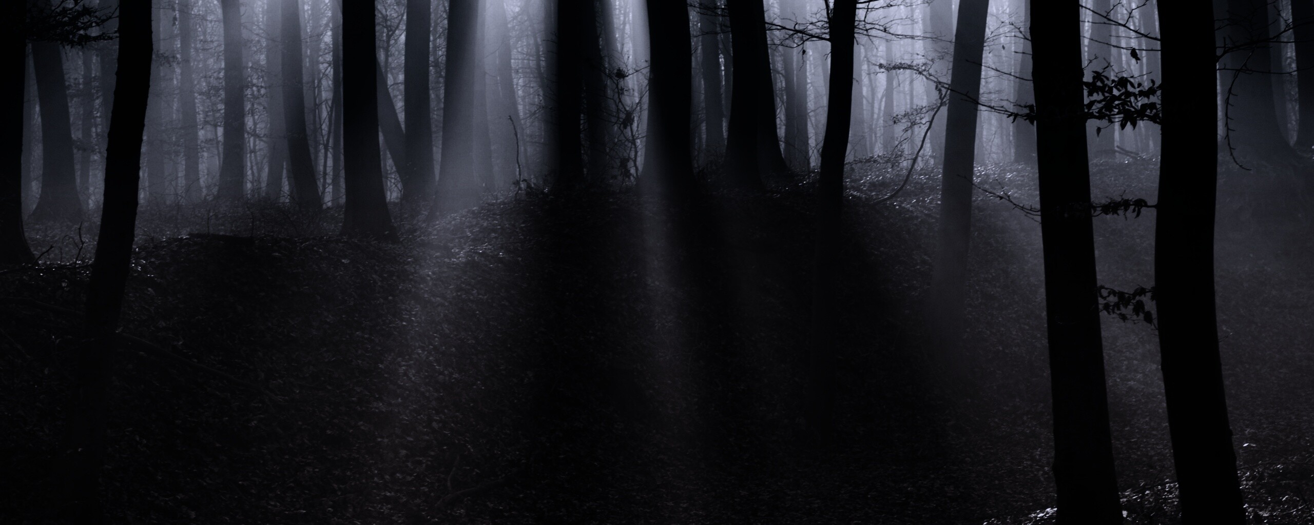 Мистические лес обои