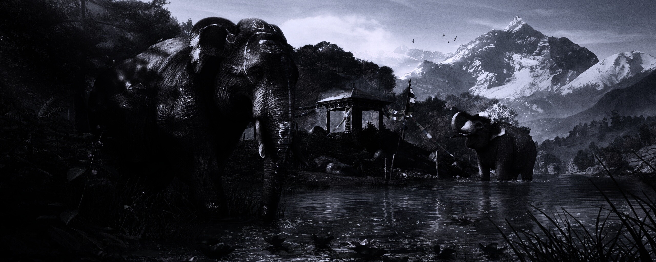 Слоники у воды обои