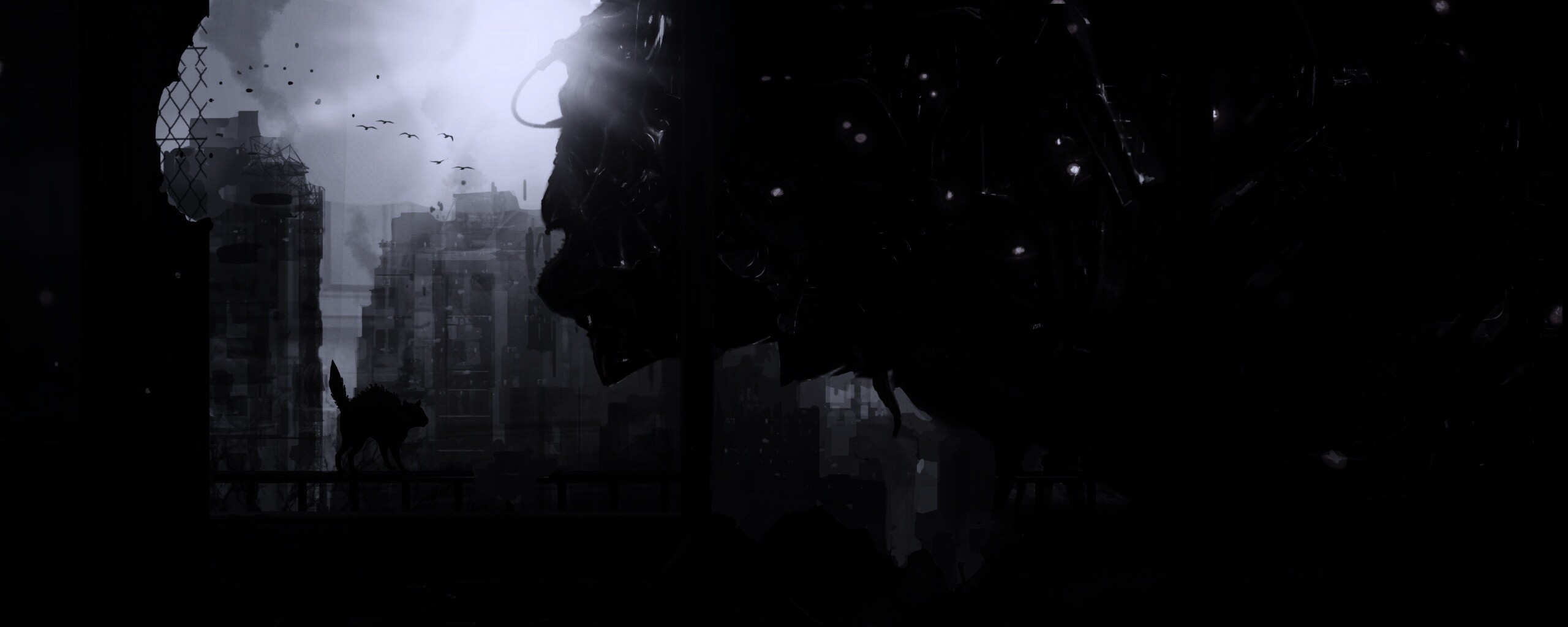 Кошкино удивление обои