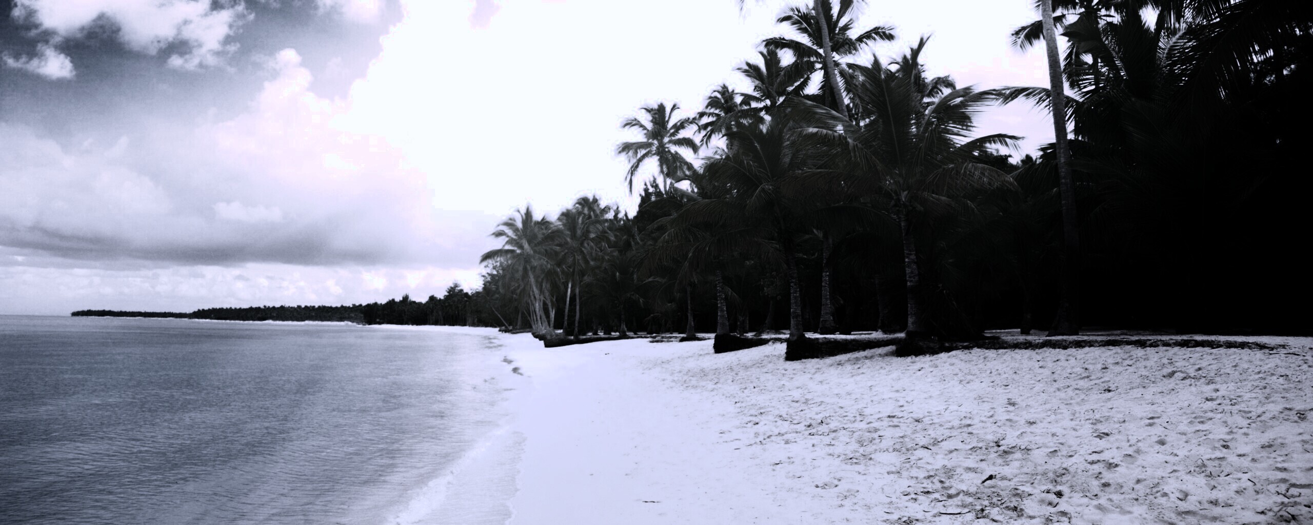 Тропическое побережье обои