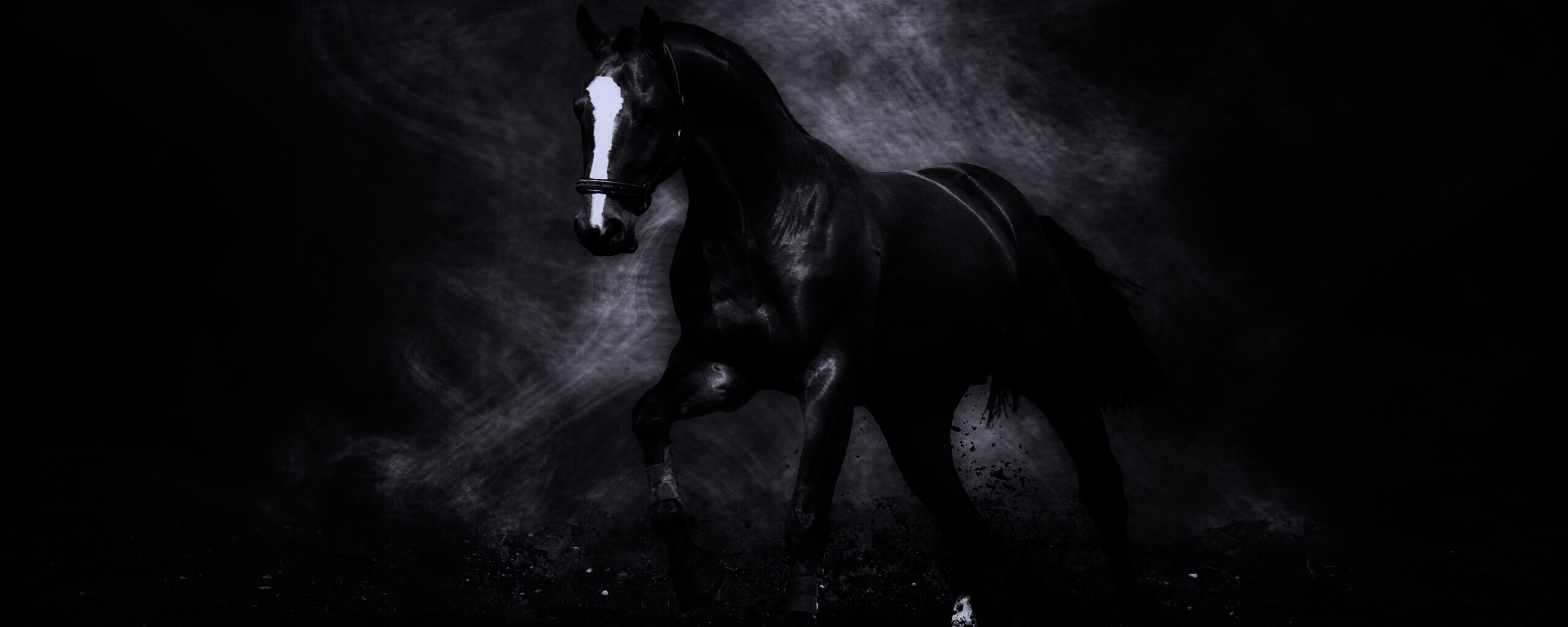 Лошадь обои