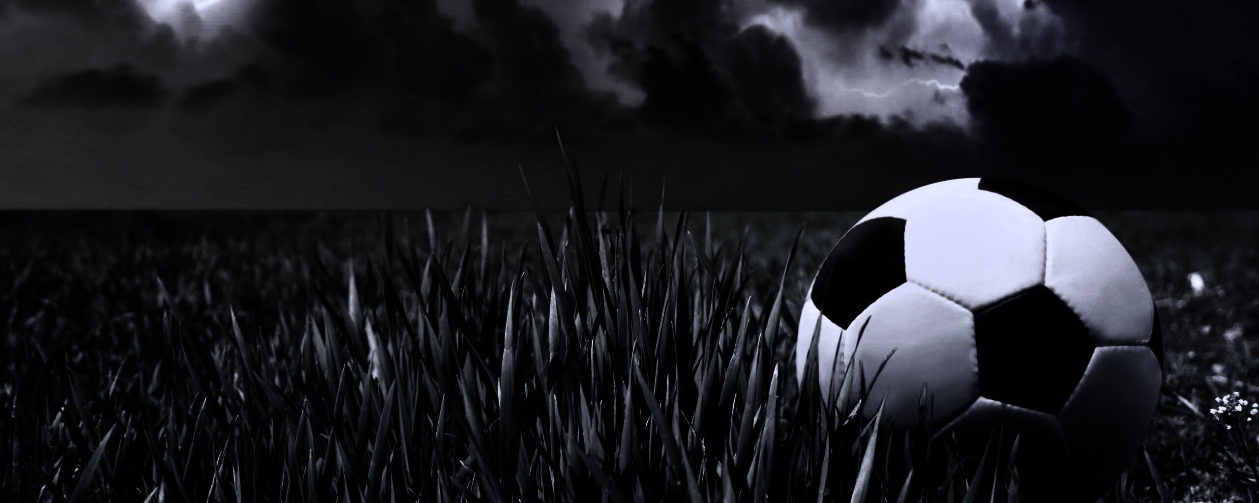 Футбольный мяч на газоне обои