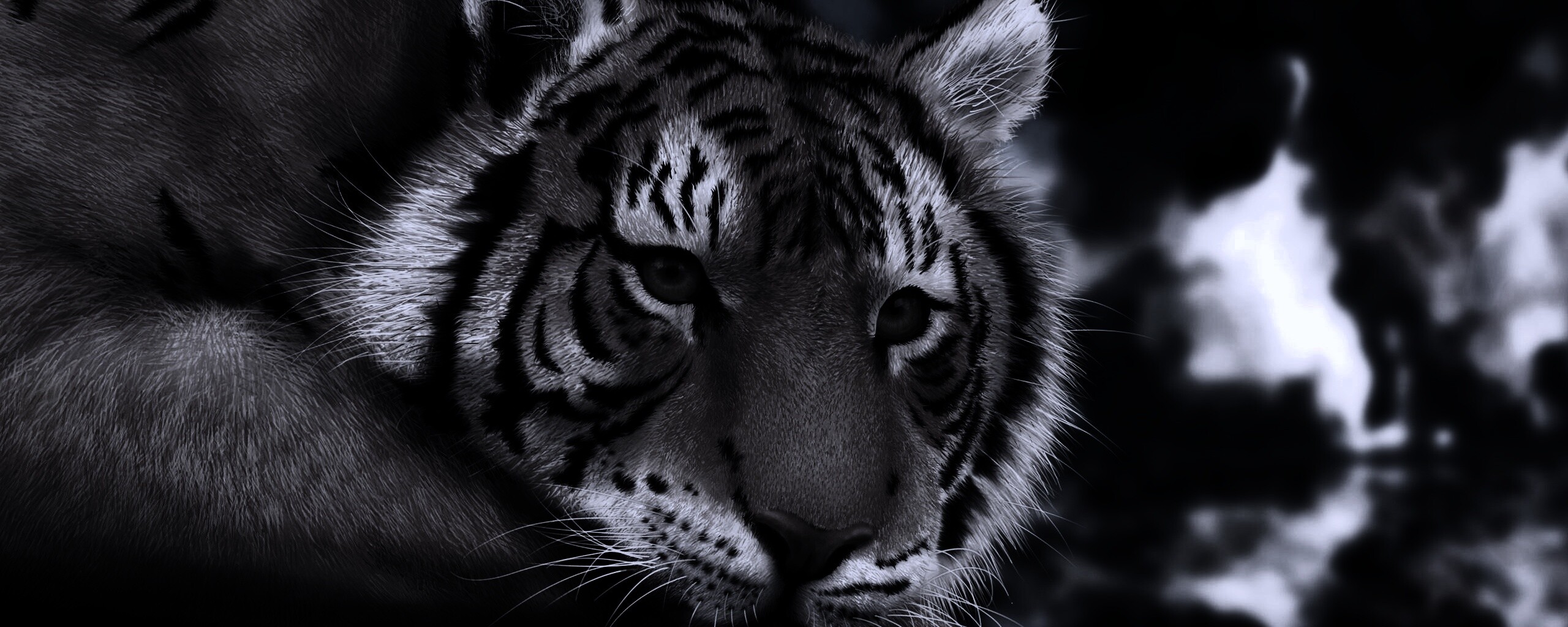 Грустный тигра обои