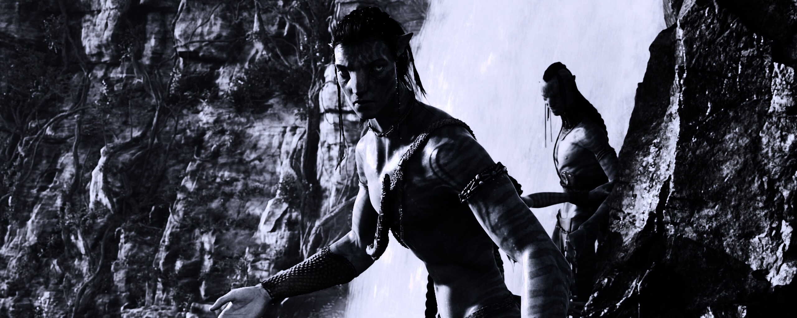 Аватар обои