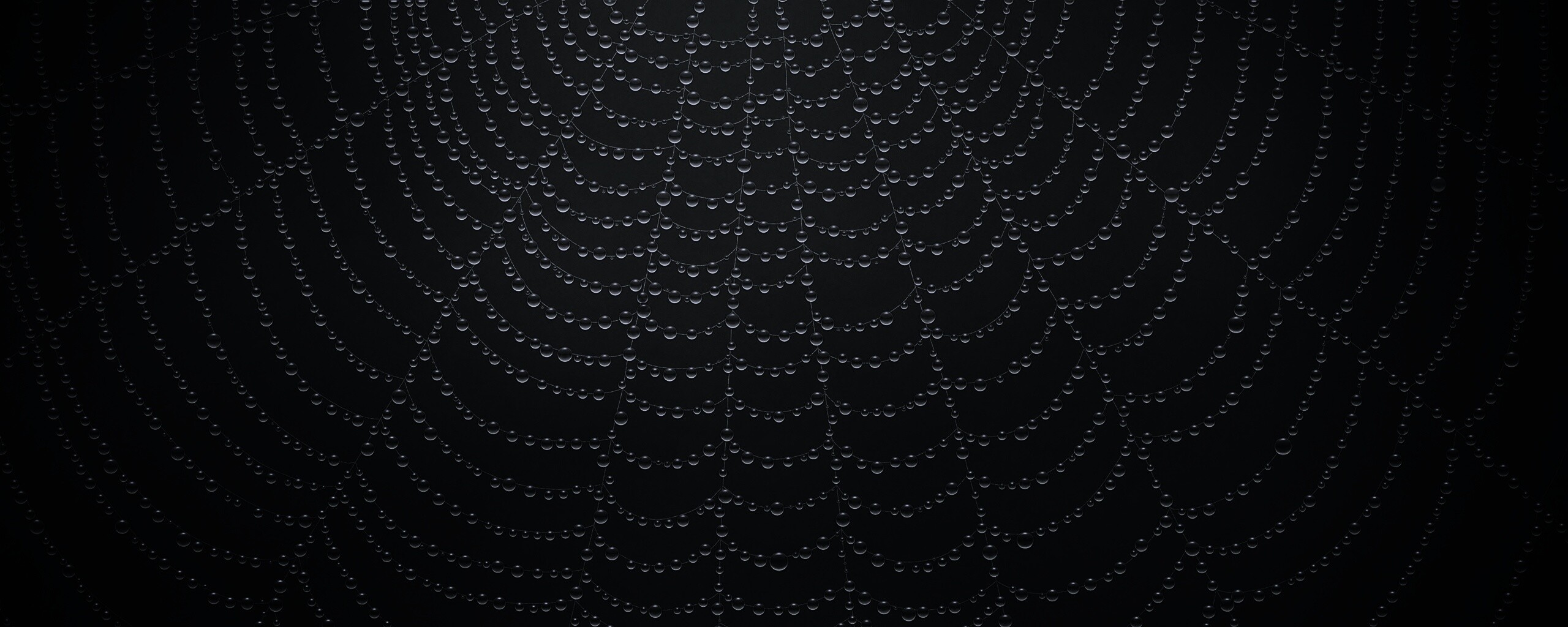 Роса на паутине обои