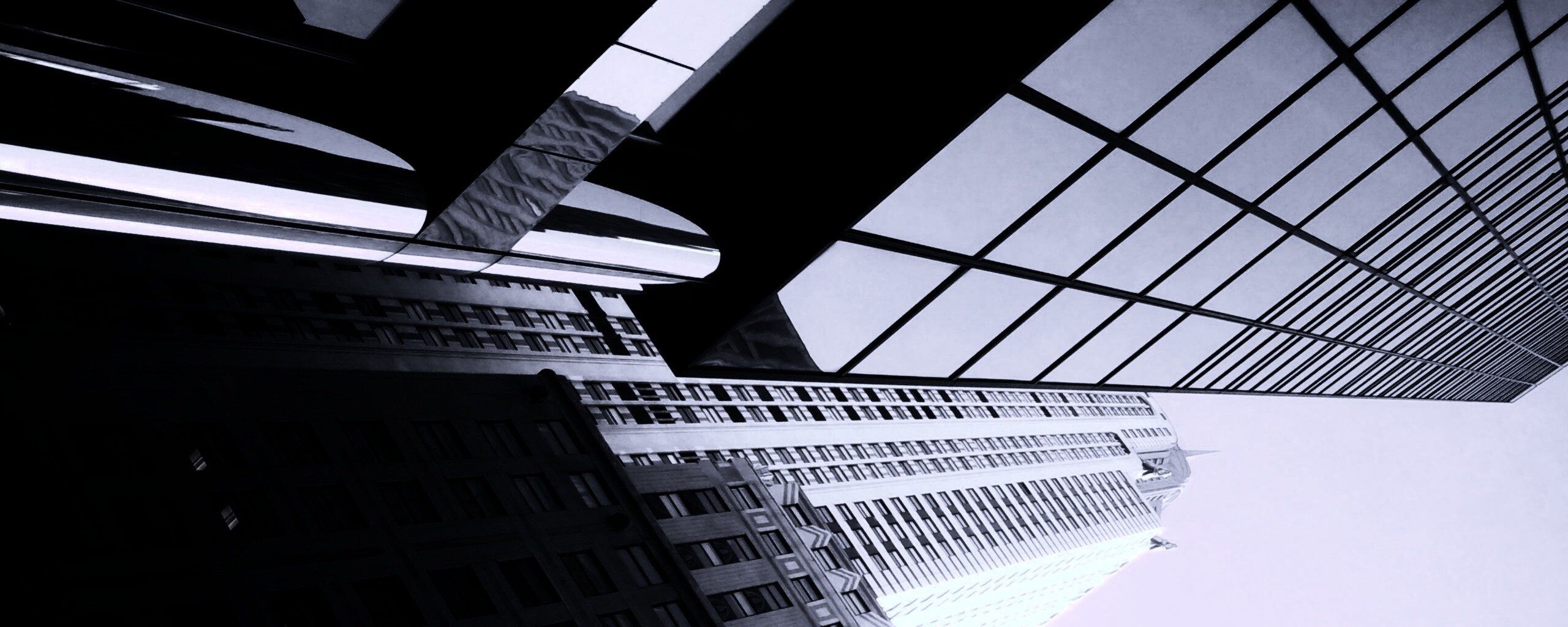 Взгляд вверх обои