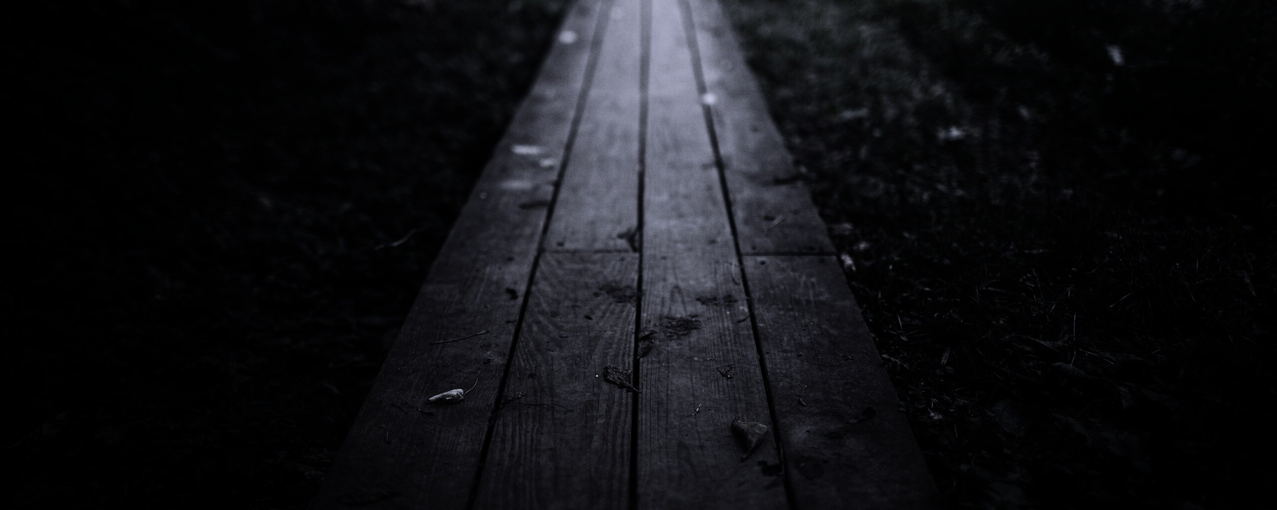 Деревянная тропинка обои