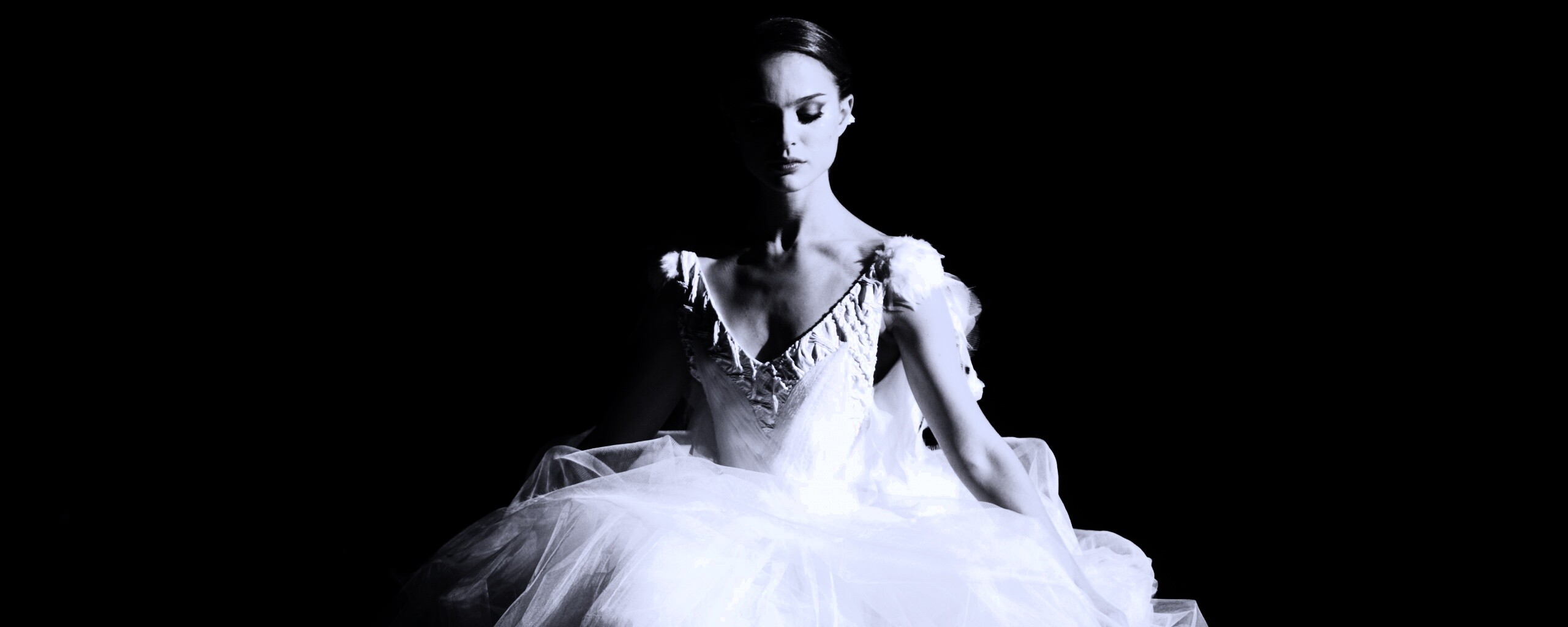 Черный лебедь обои