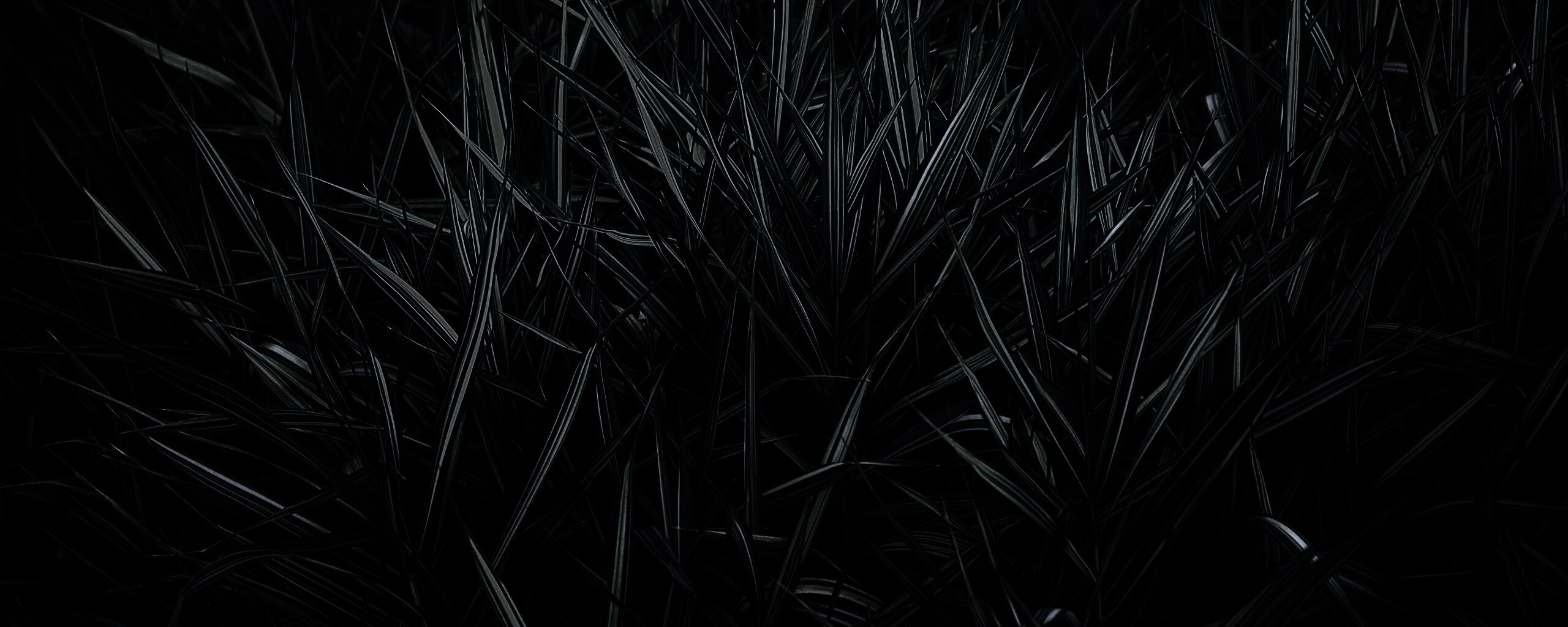 Дикая трава обои