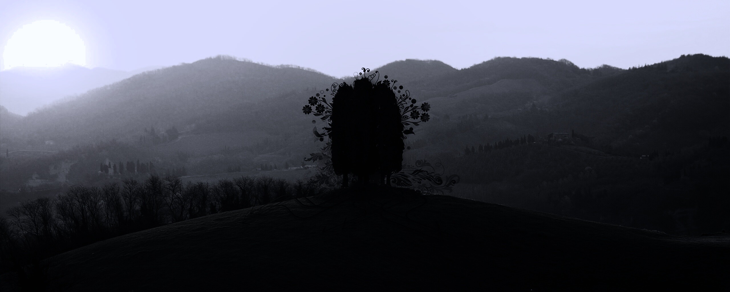 Деревья на холме обои