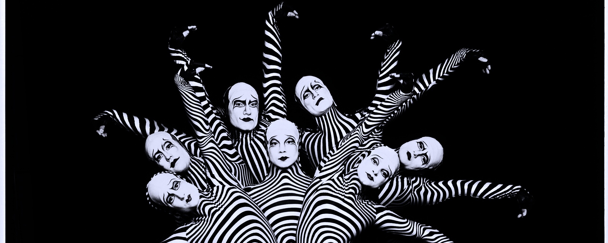 Зеброиды (актеры цирка дю солей) обои