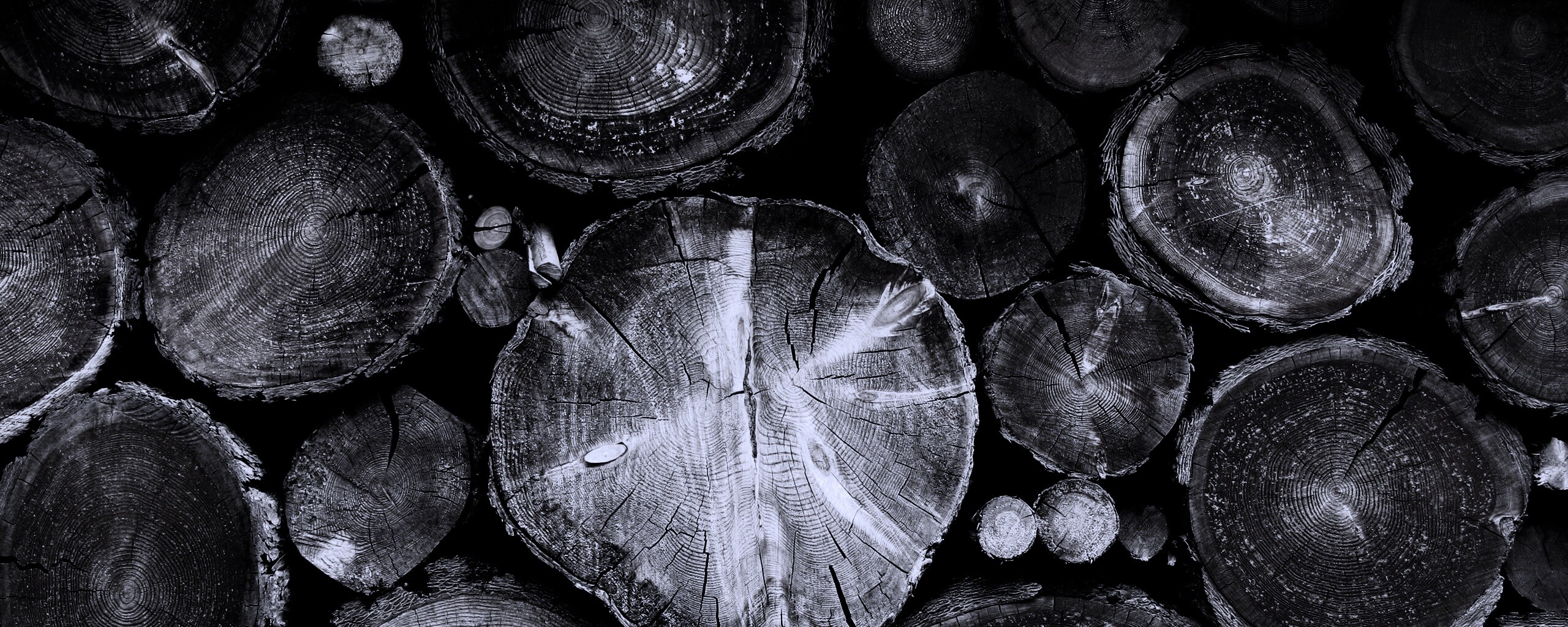 Древесный спил обои