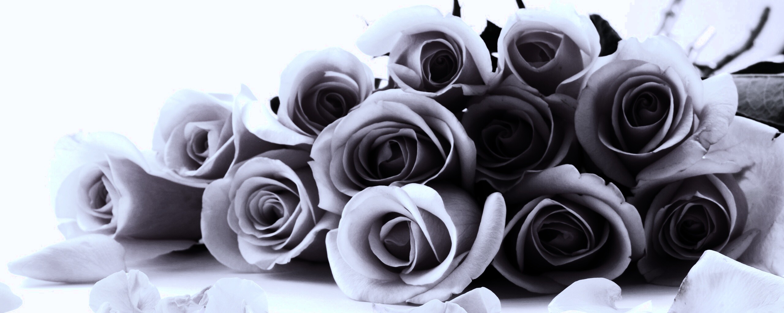 Букет роз обои