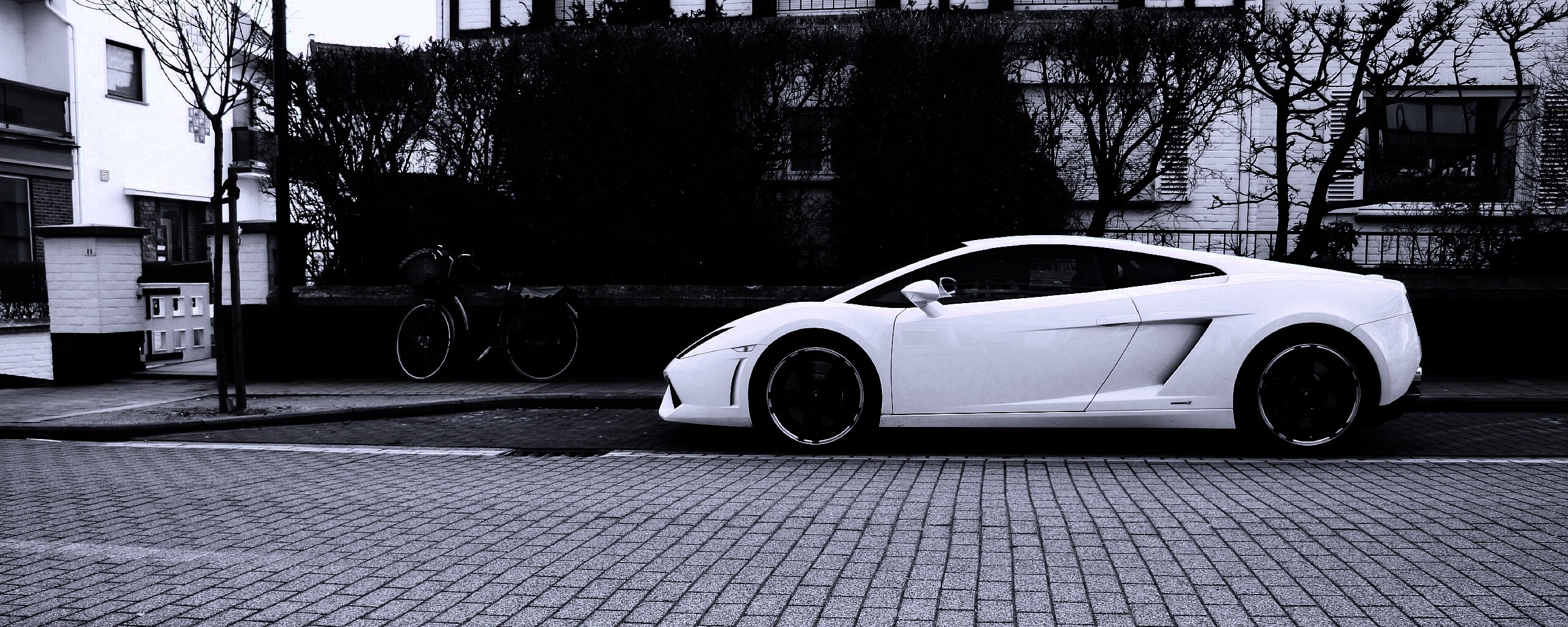 Белый Lamborghini обои