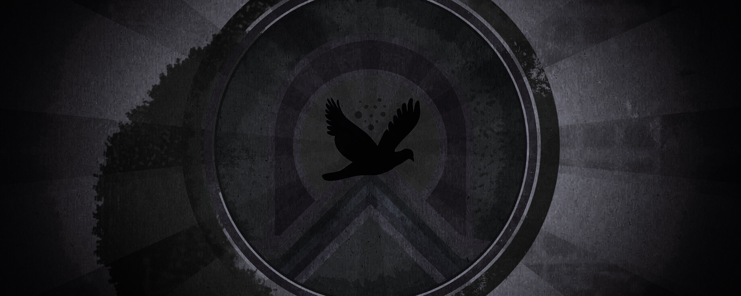 Голубь мира обои