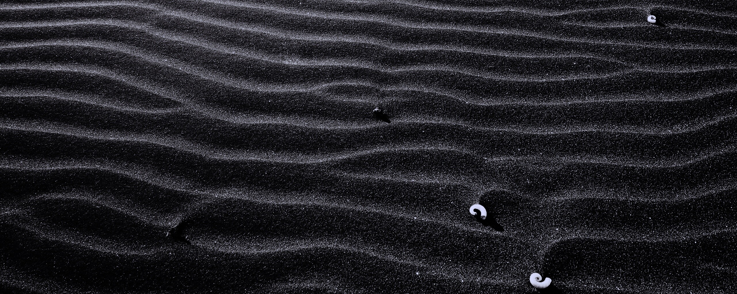 Песок и раковины обои