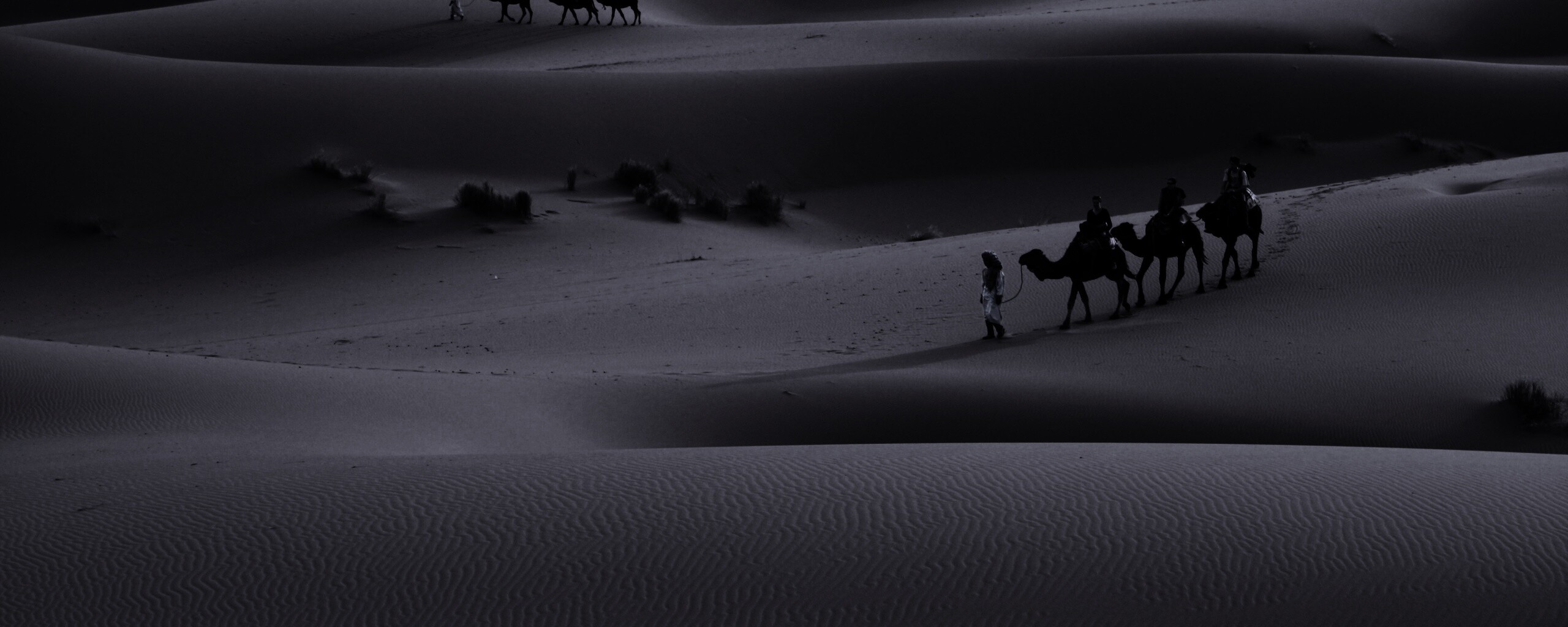 Караваны пустыни обои