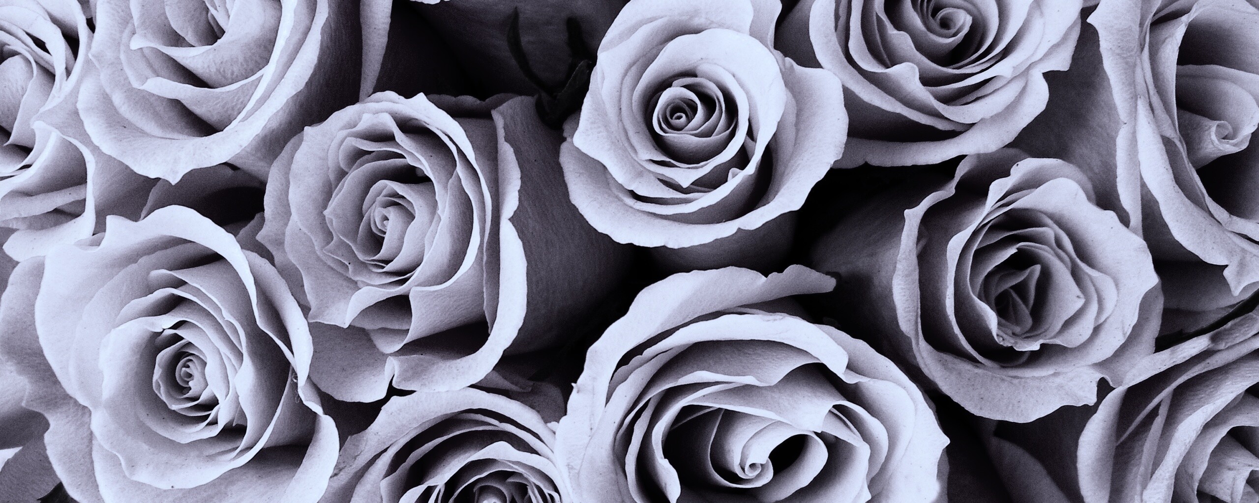 Букет роз обои