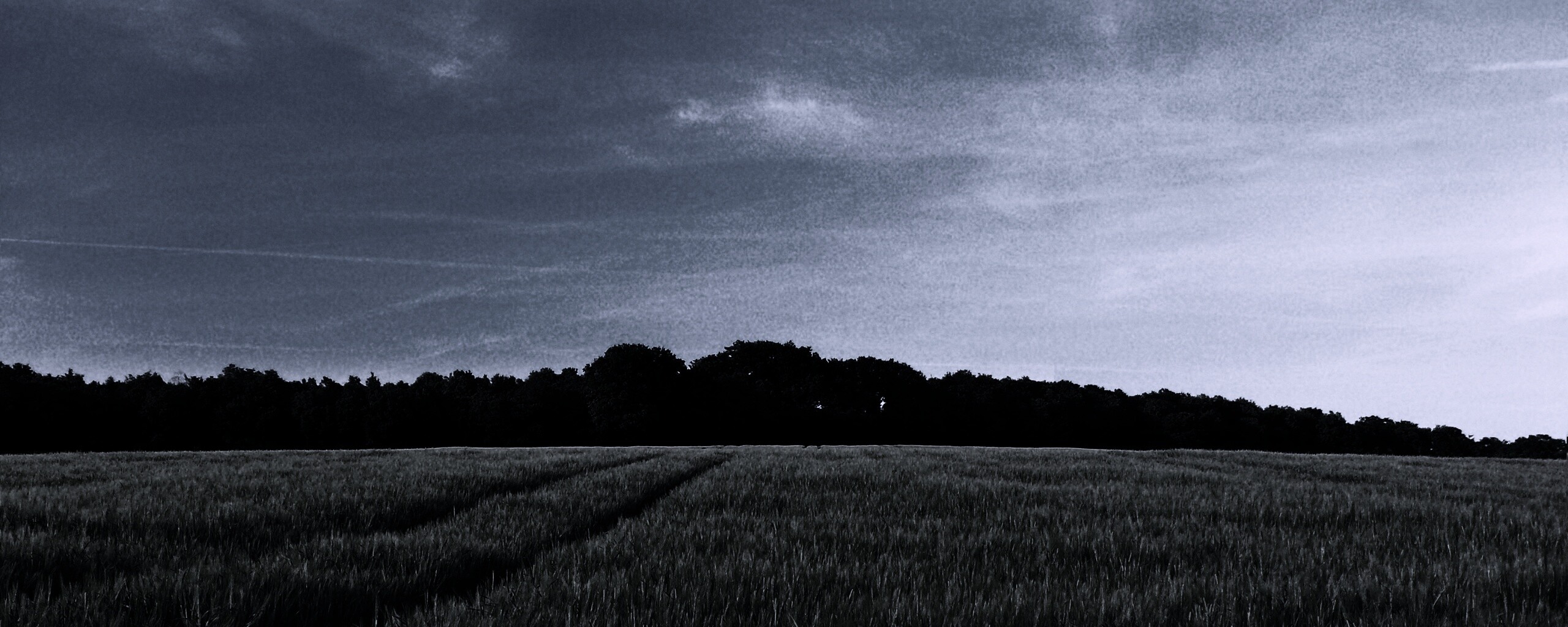 Следы колеи в поле обои