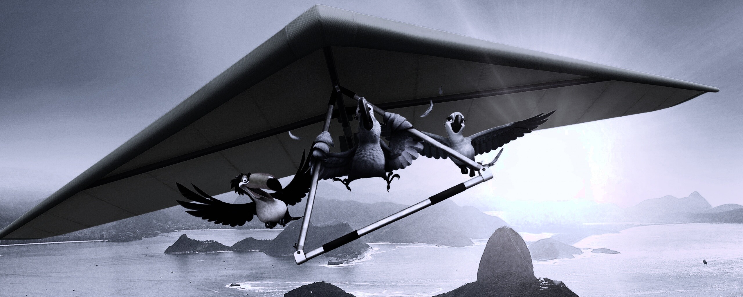 Герои мультфильма Рио обои