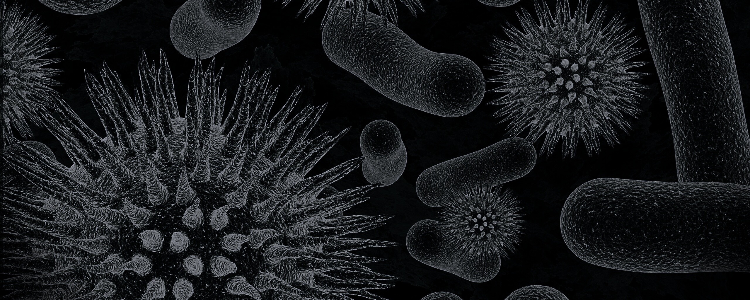 Бактерии обои