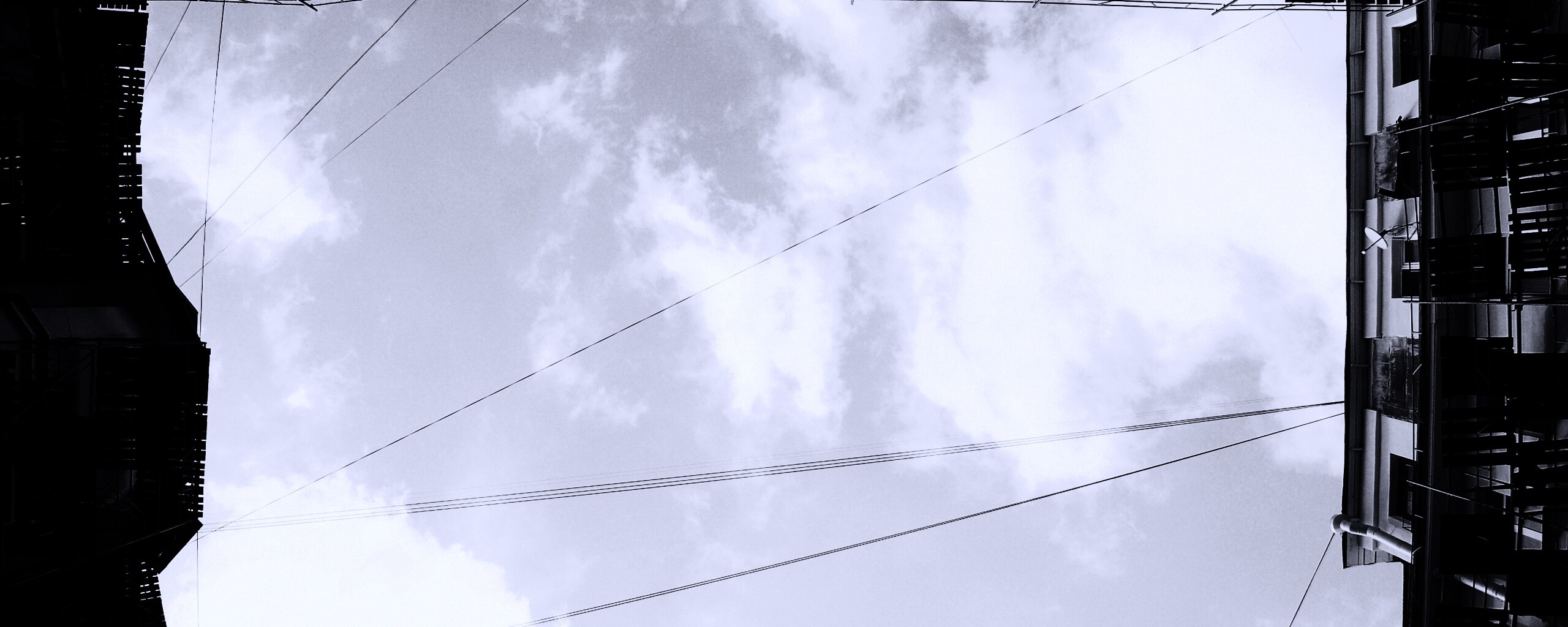 Человеческий муравейник обои