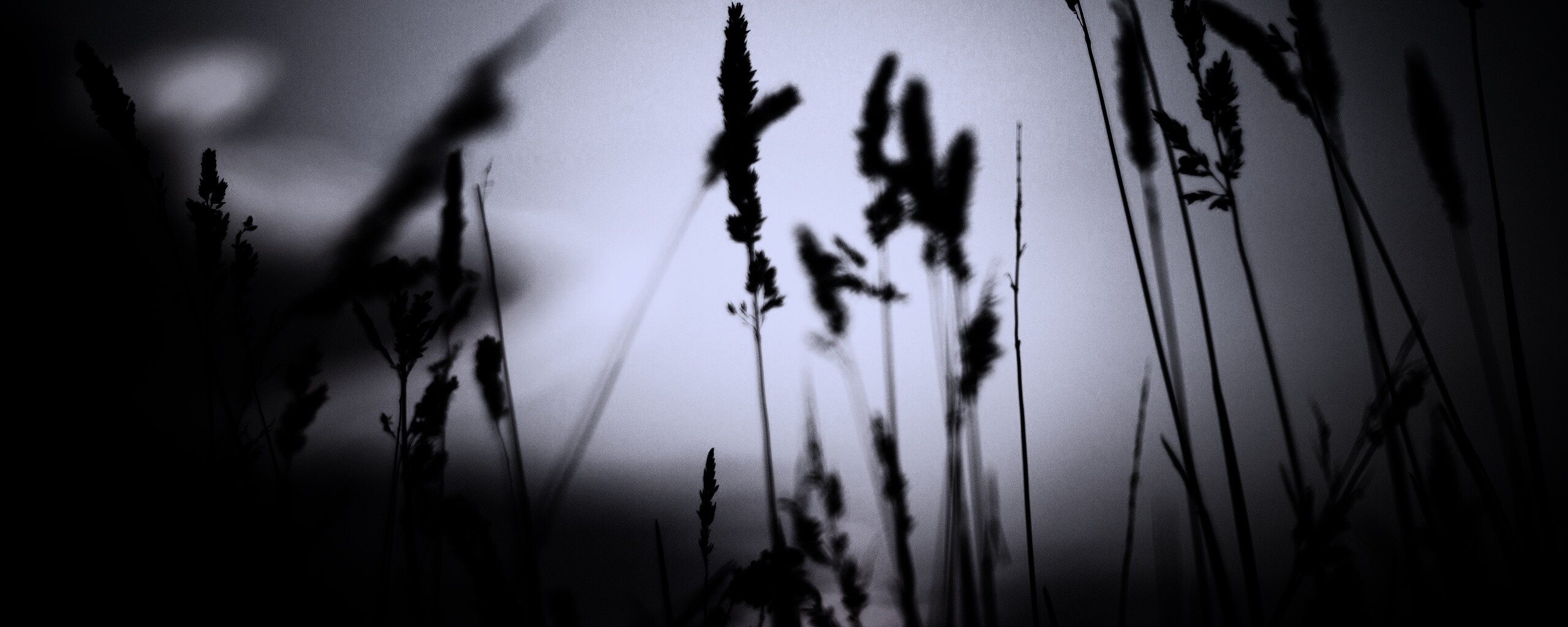 Дыхание природы обои