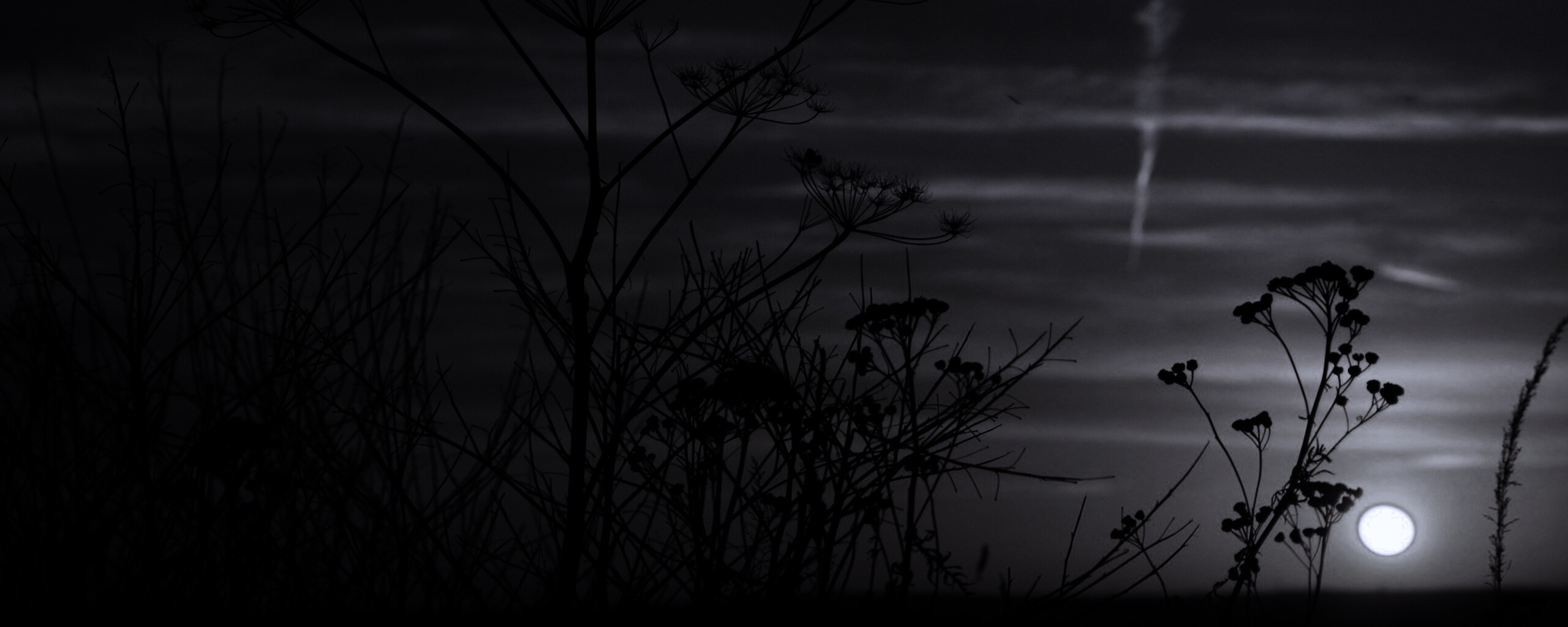 Степной закат обои