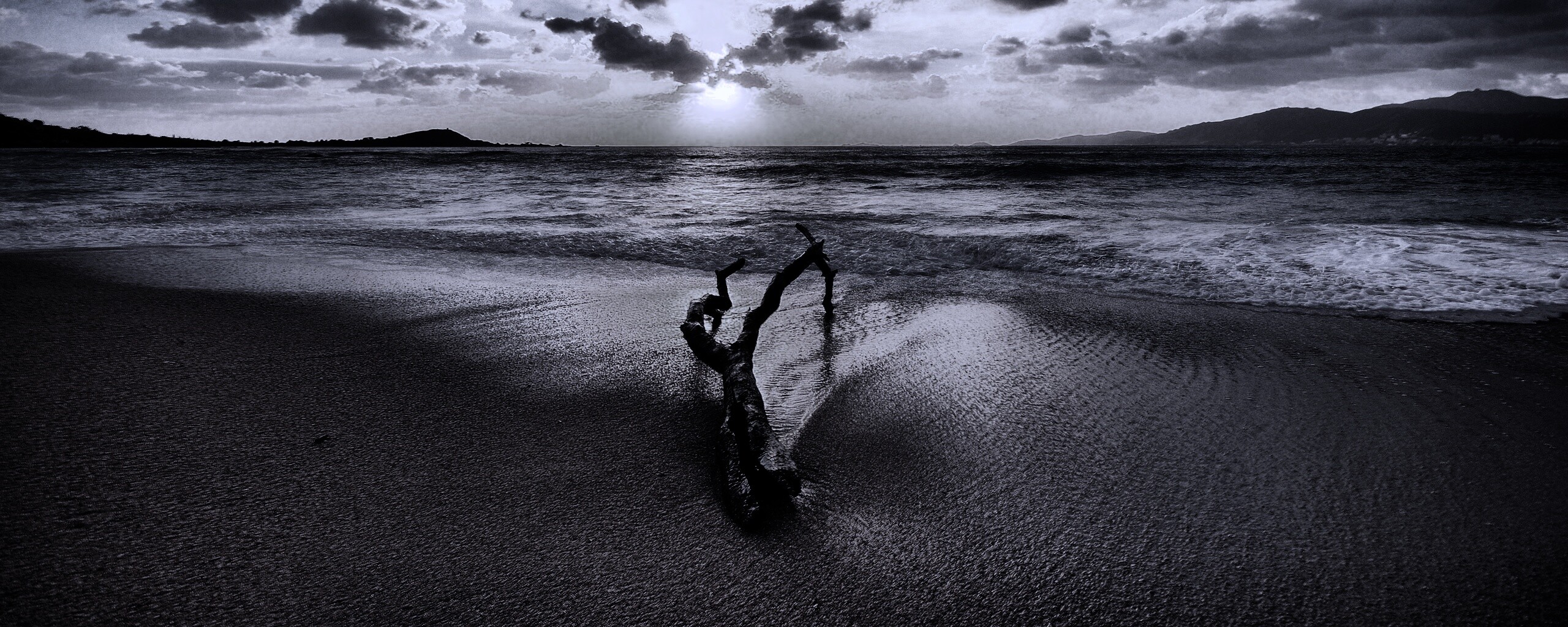 Коряга на пляже обои