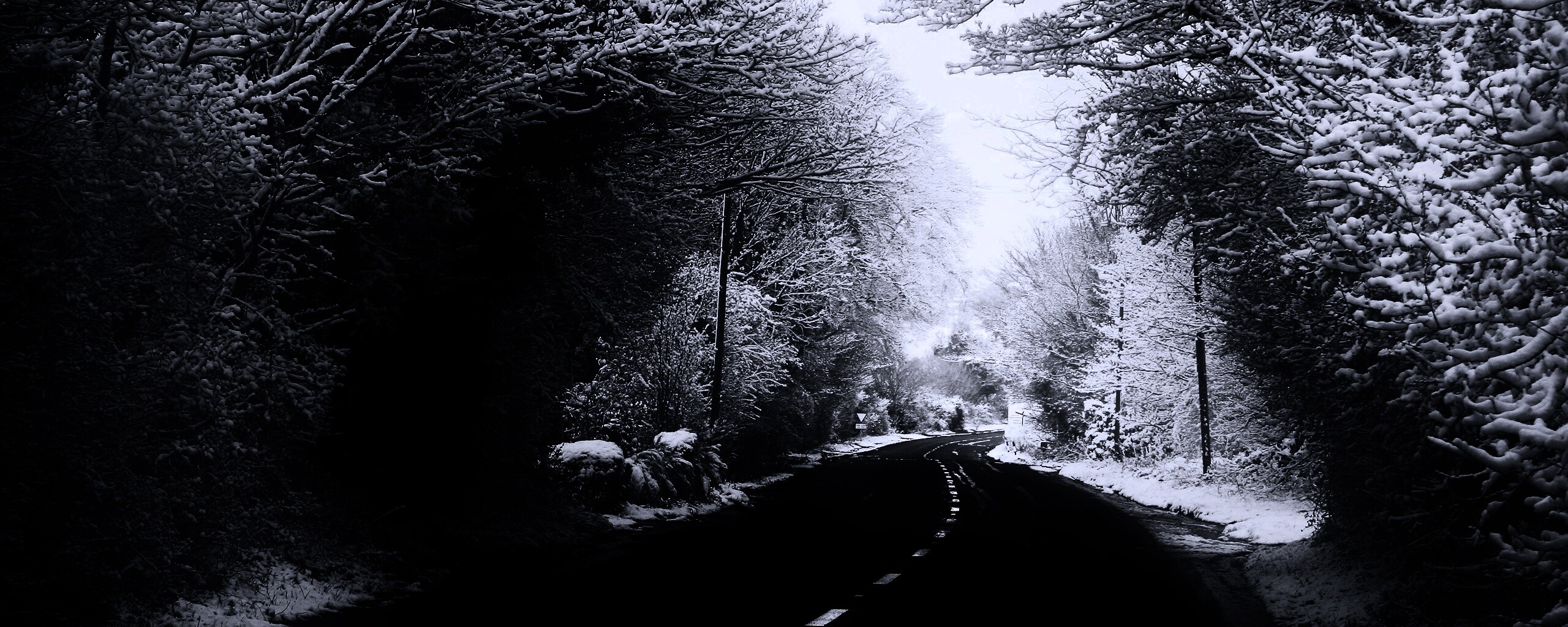 Дорога через зимний лес обои