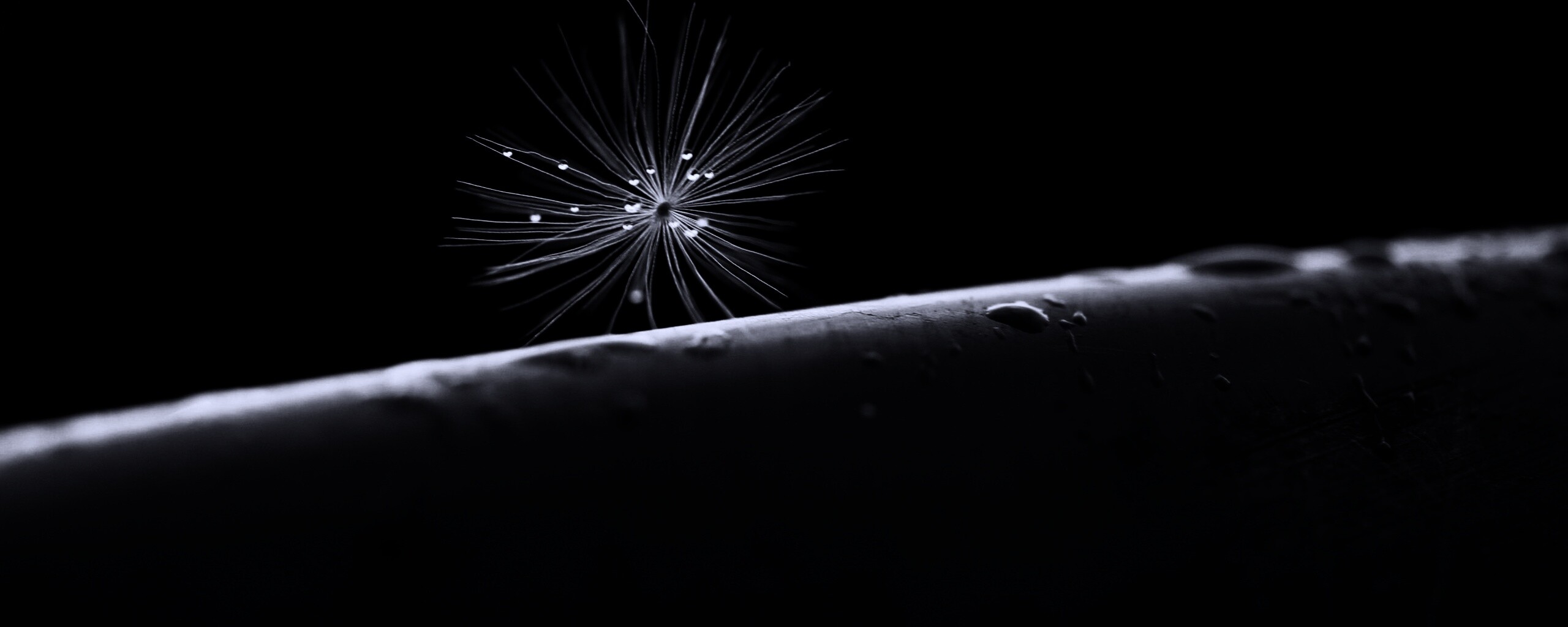 Прилипшая пушинка обои