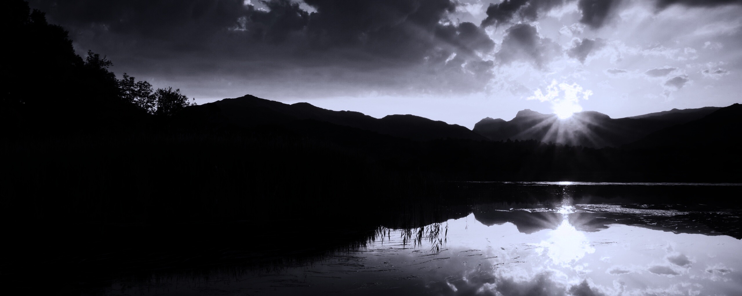 Закат за лесом обои