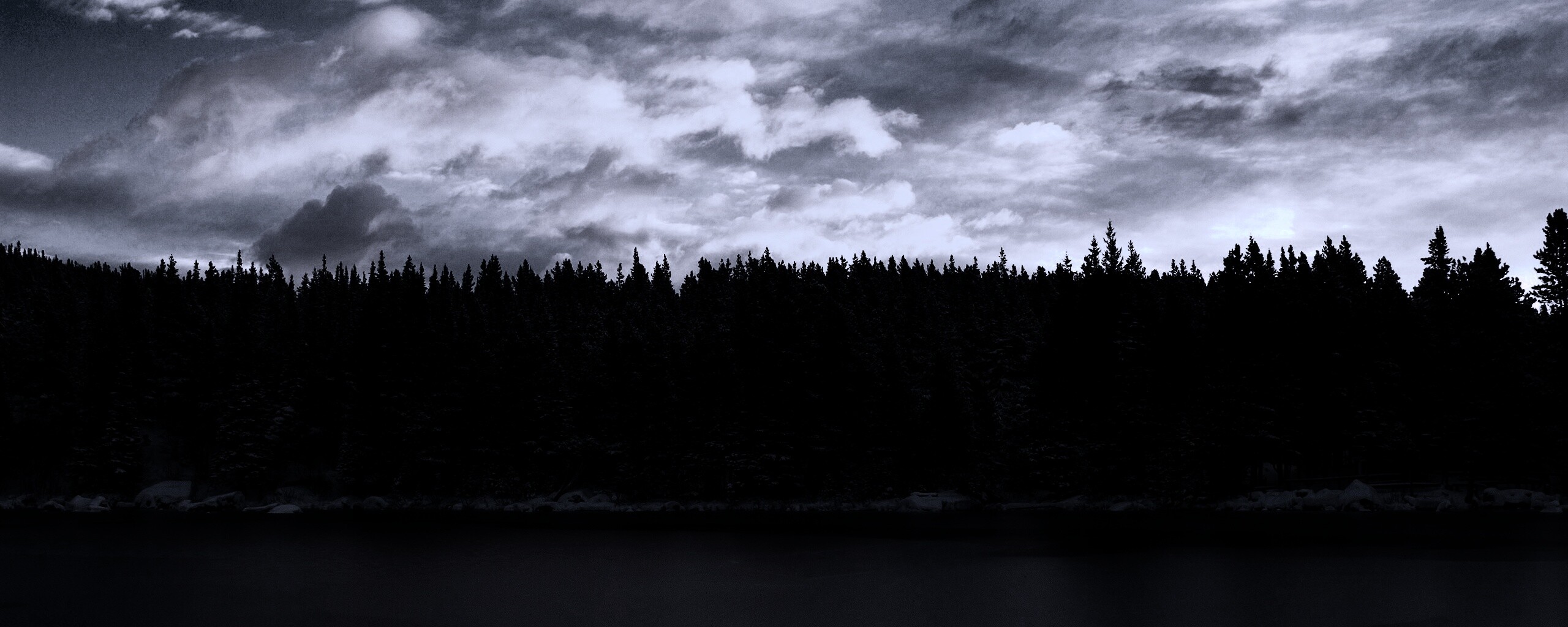 Лес на озере обои