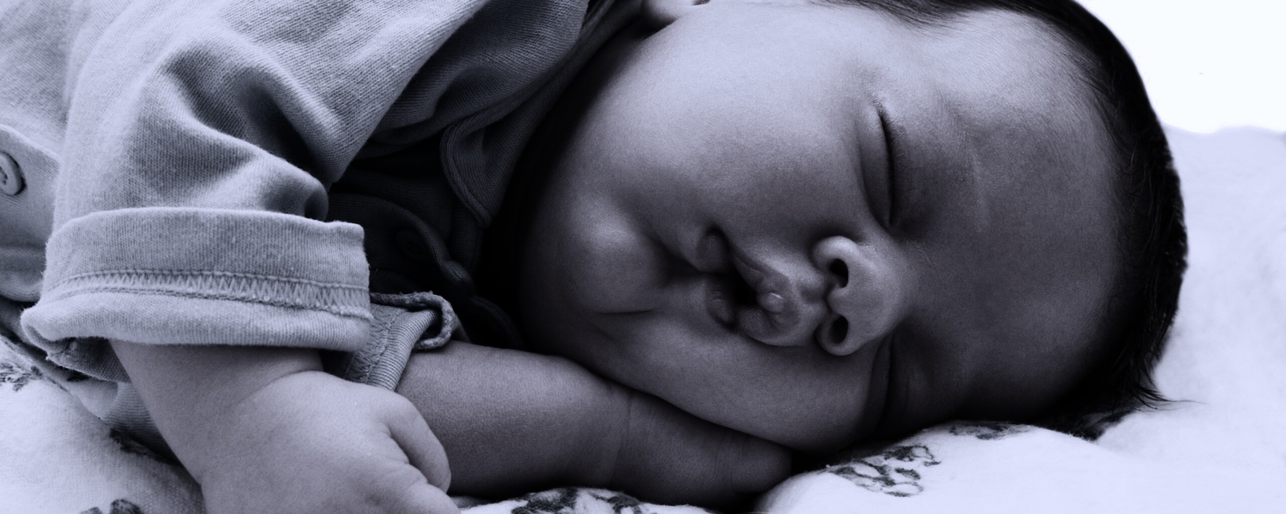 Спящая прелесть обои