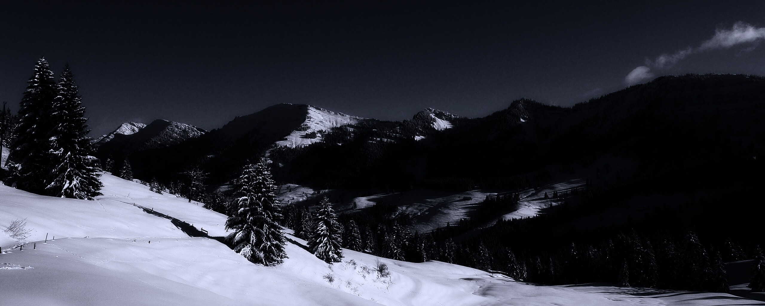 Лес в горах обои