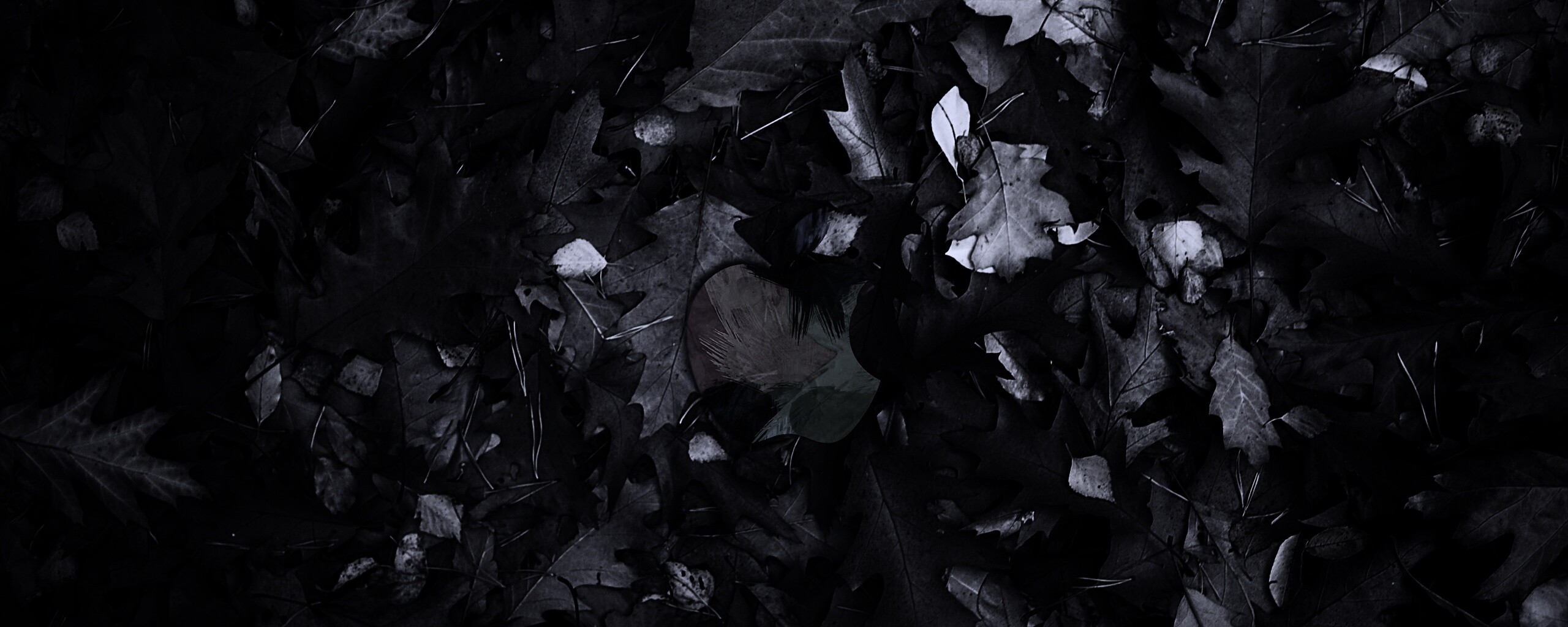 Яблоко в листьях обои