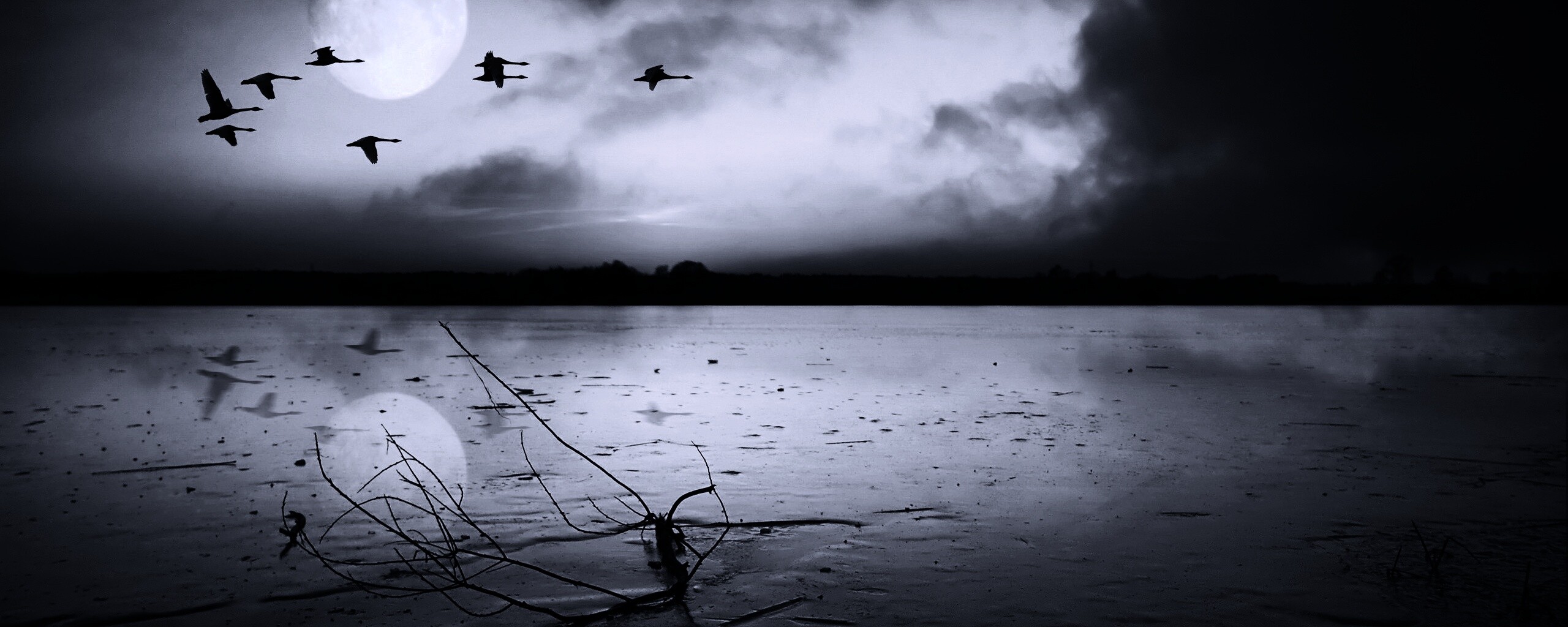 Полет птиц над озером обои