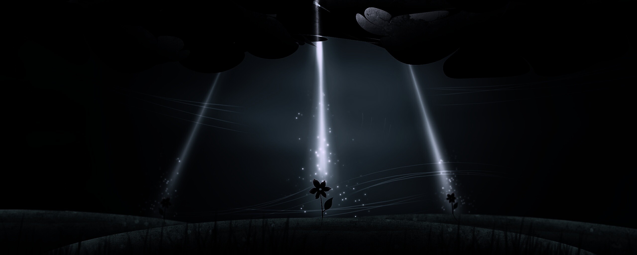 Свет для цветов обои