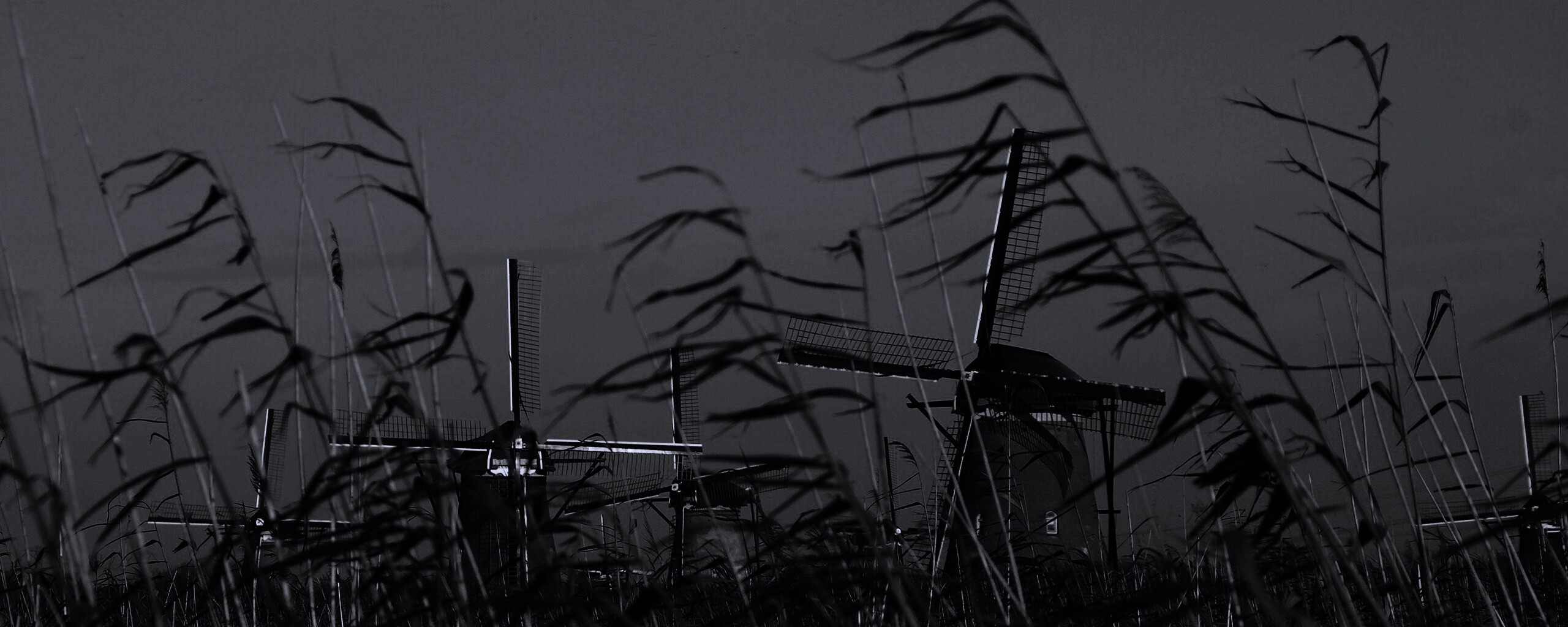 Мельницы обои