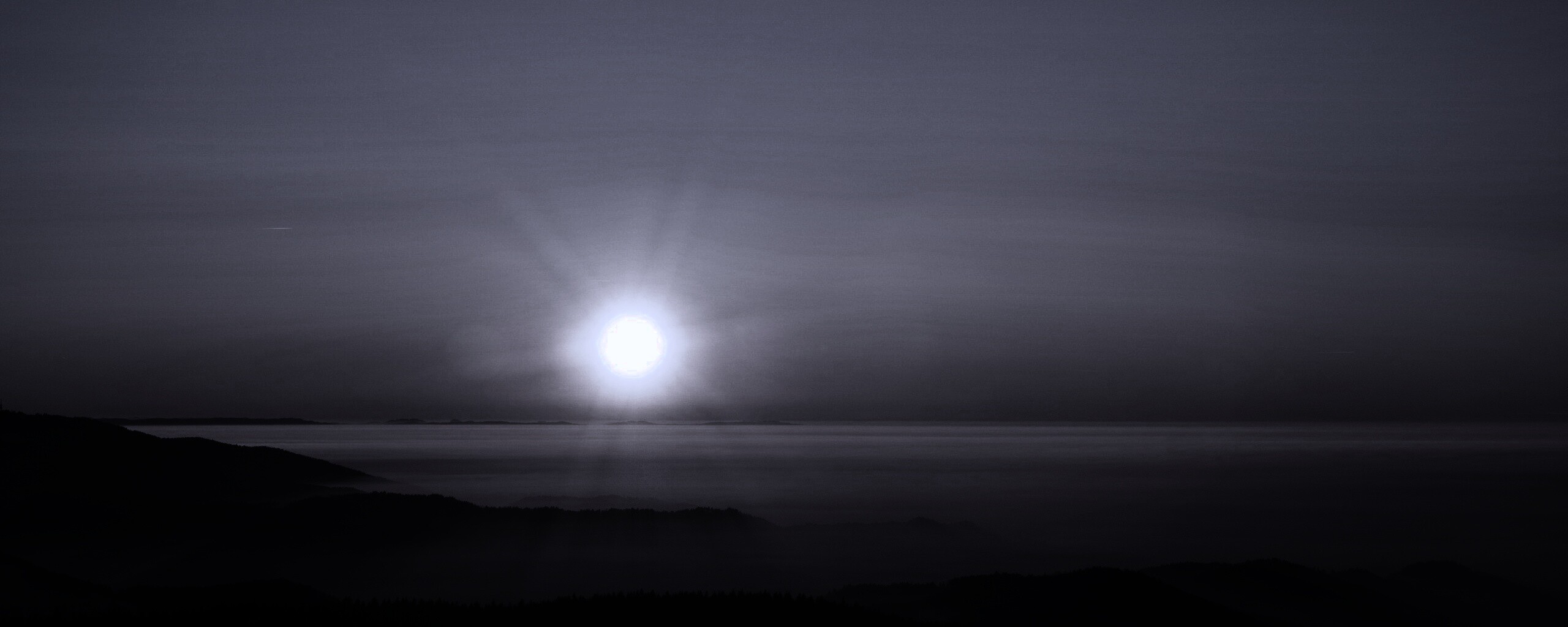 Восход солнца над лесом обои