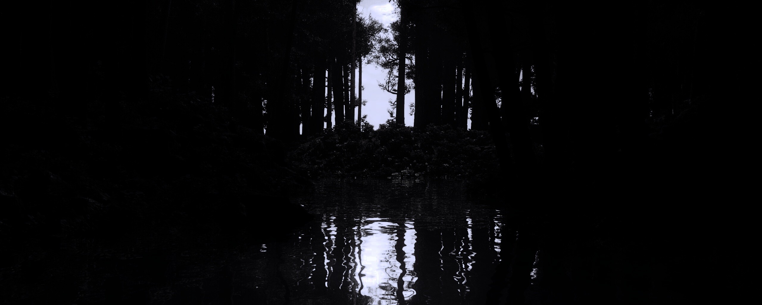 Болото в лесу обои