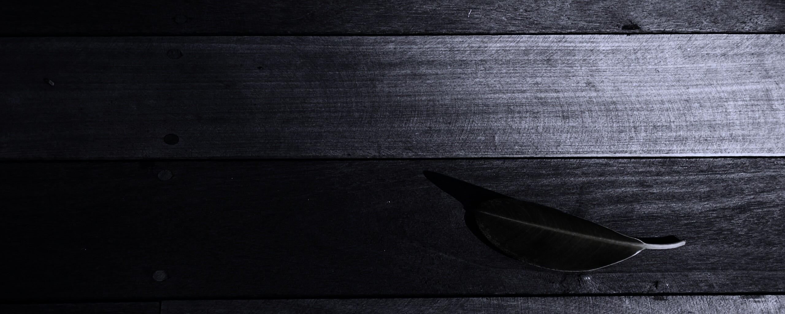 Лист на деревянном полу обои