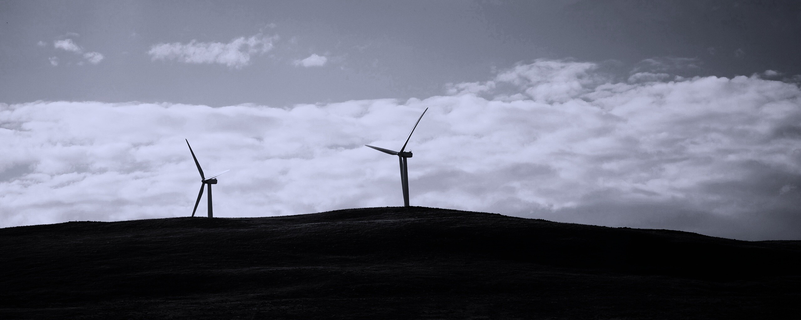 Ветряки в поле обои