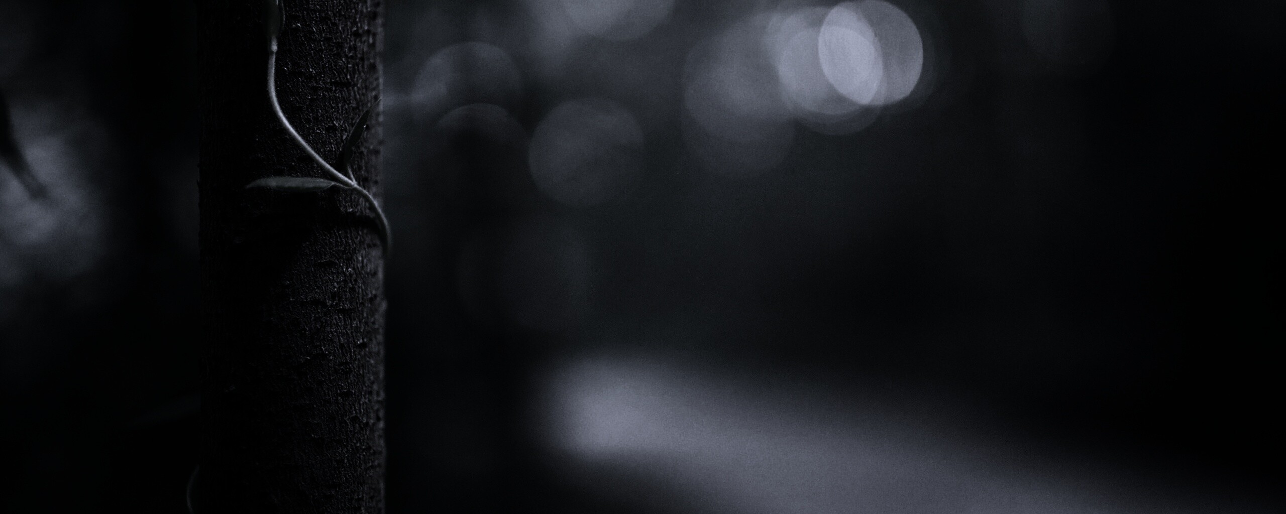 Стебелек на стволе деревца обои