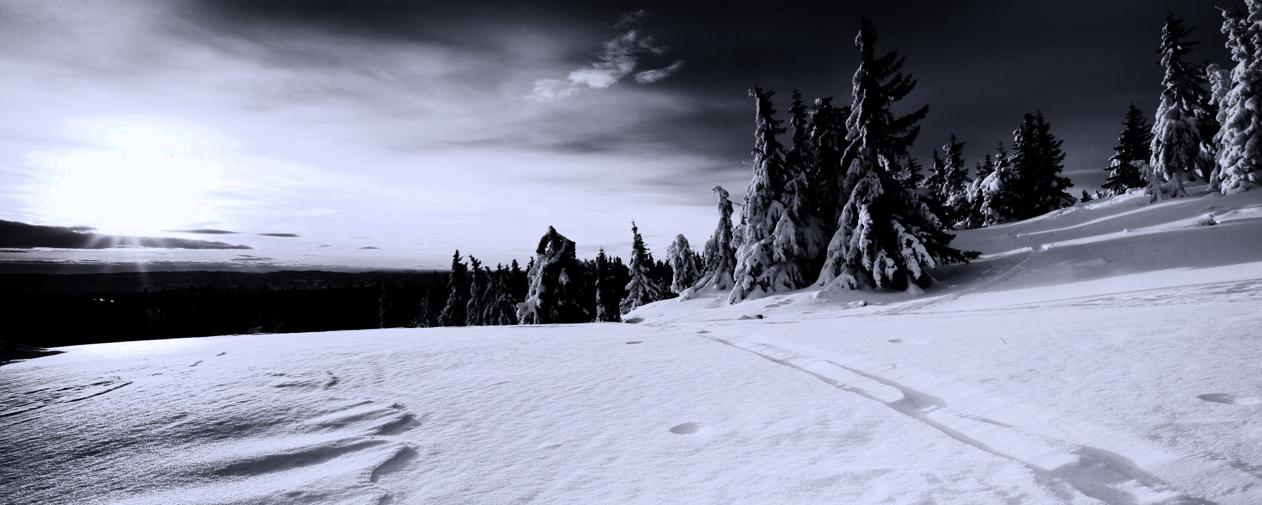 Зимние просторы обои