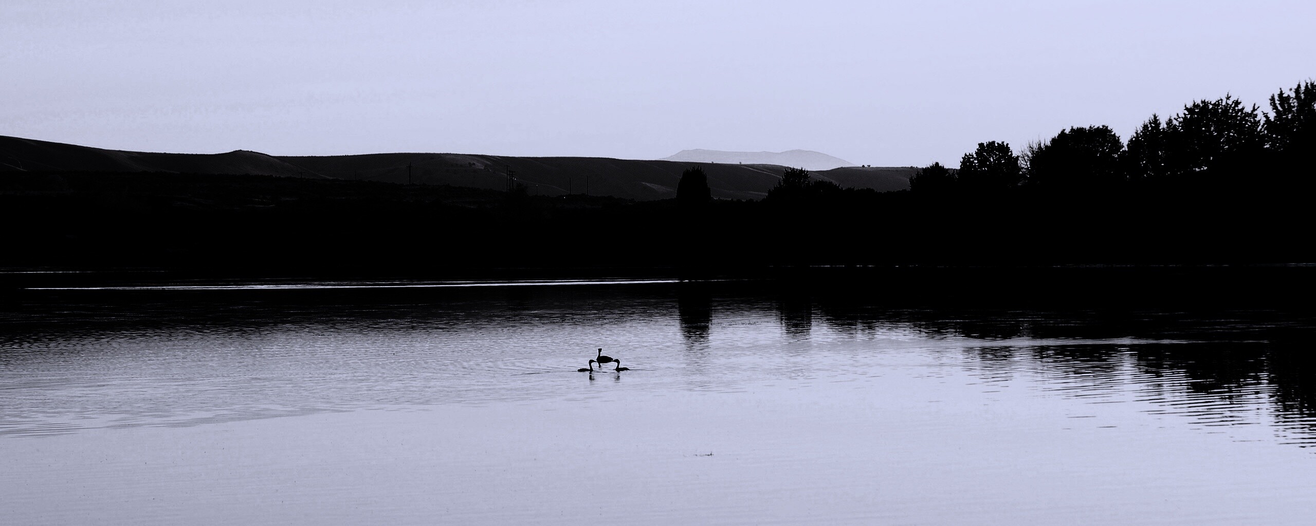 Утиное озеро обои