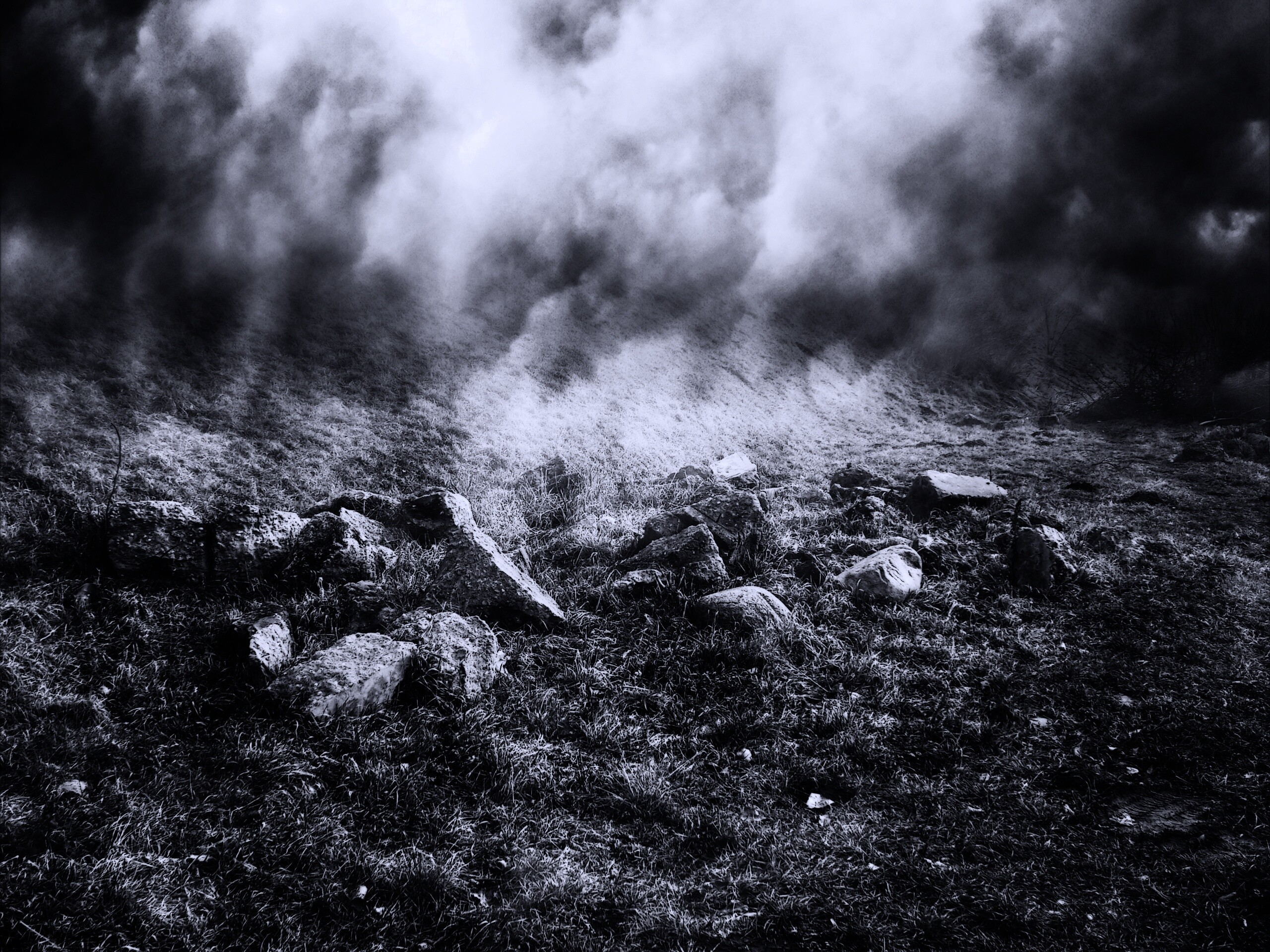 Туман на склоне обои